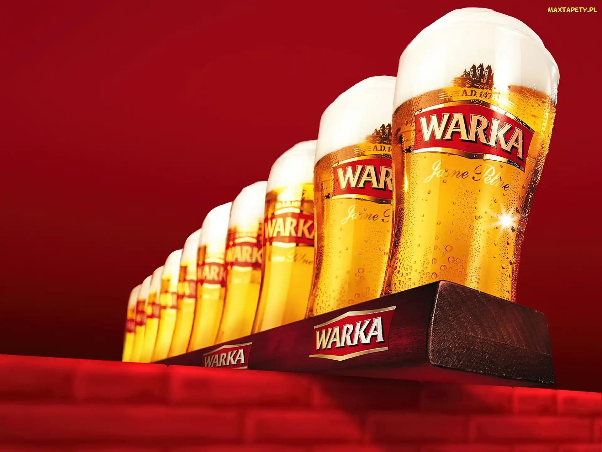 Warka, Podstawka, Piwo