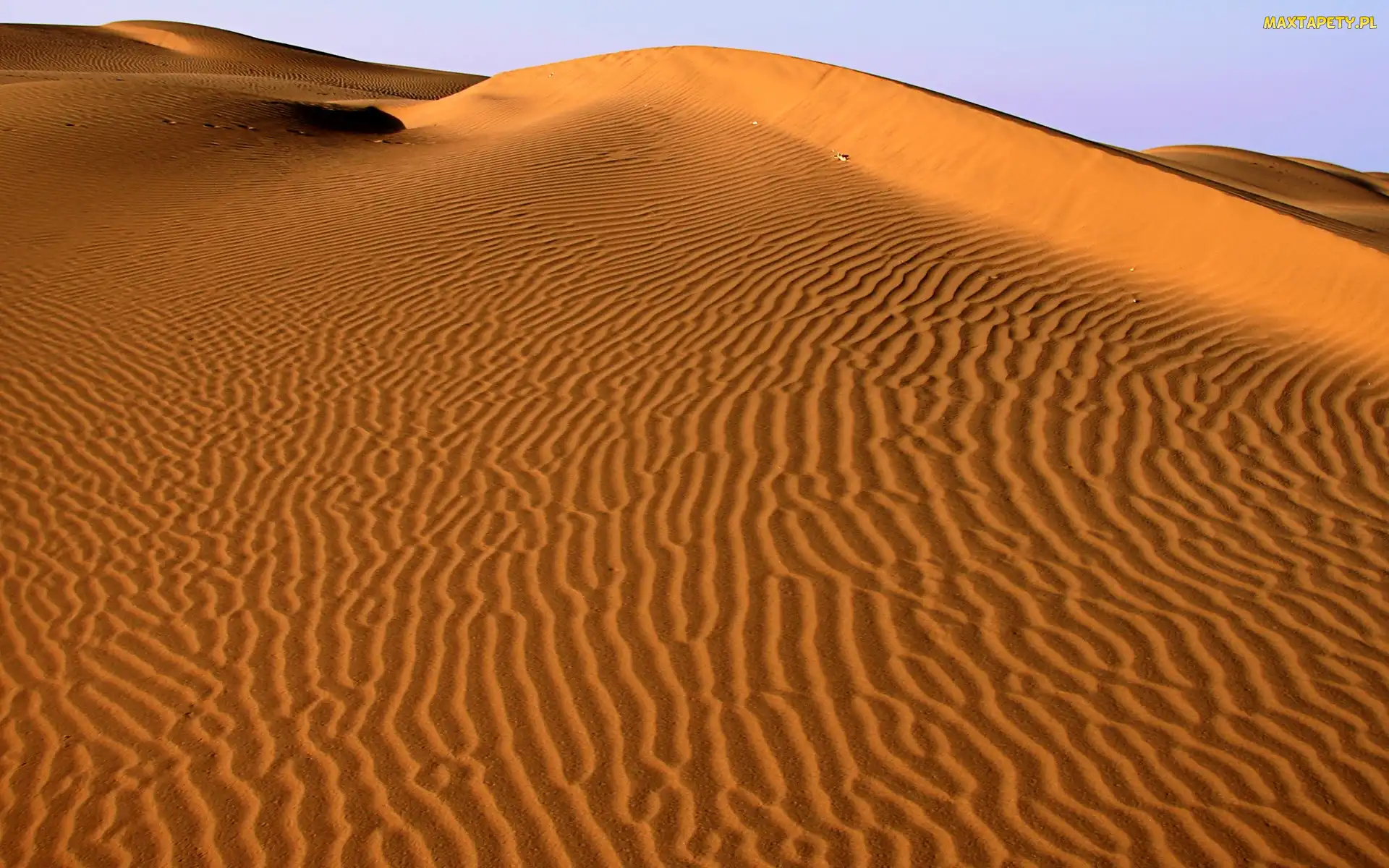 Pustynia, Sahara, Piaski