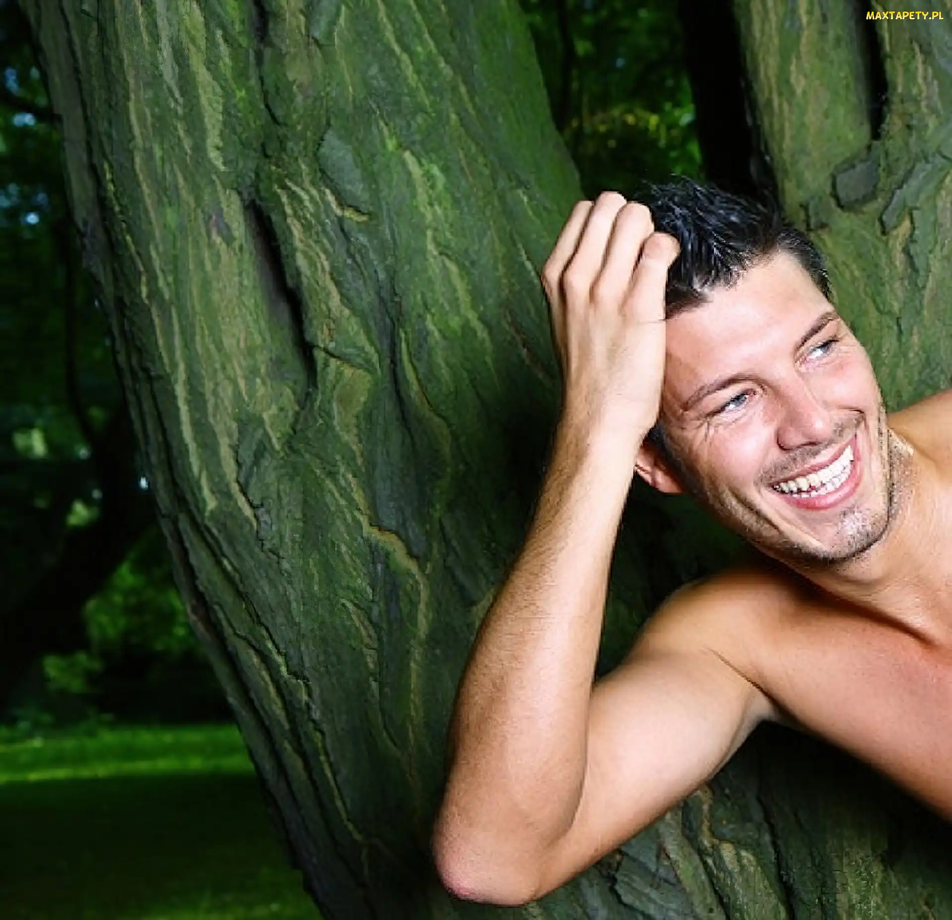 Model, Drzewo, Mężczyzna