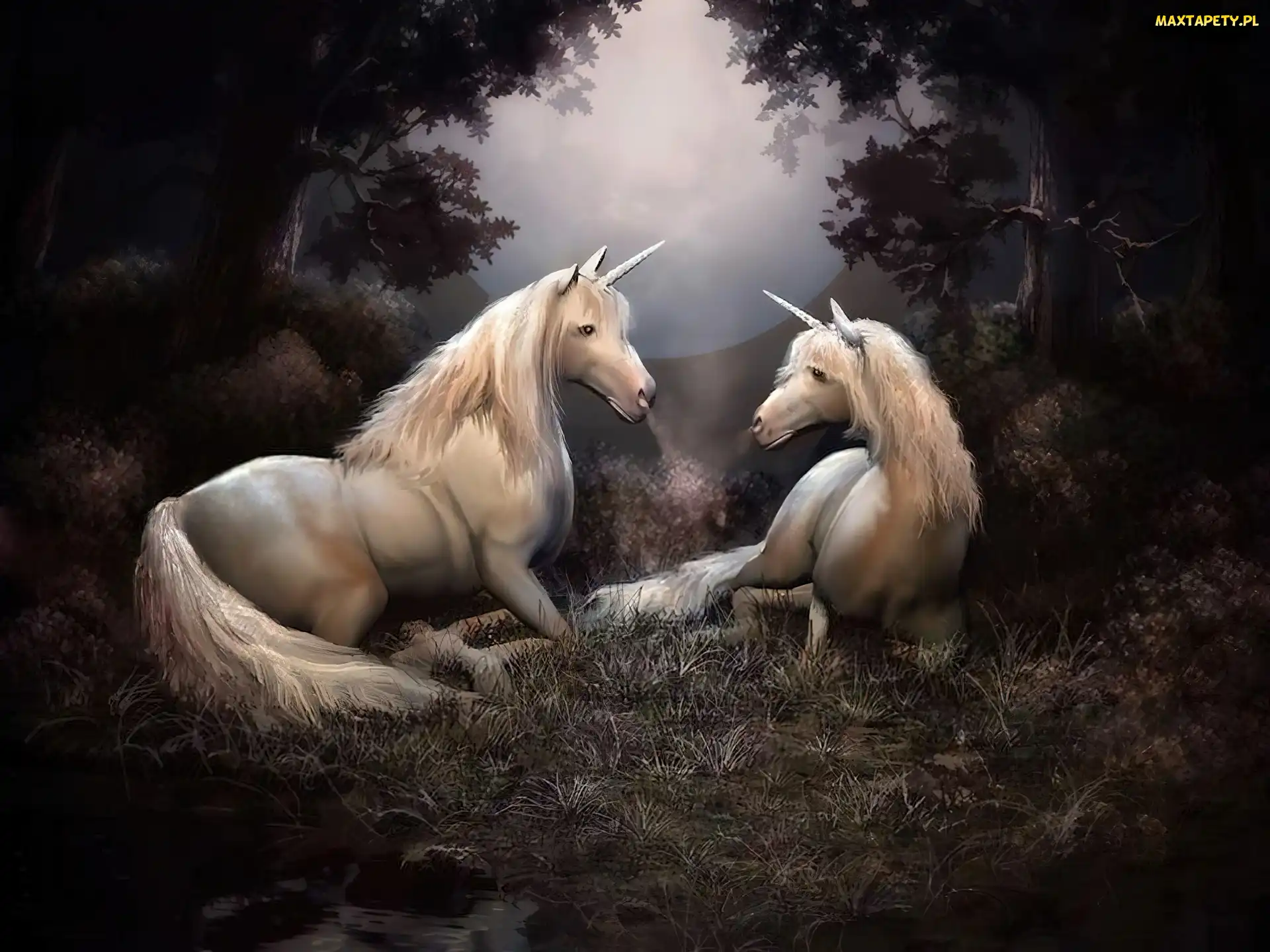 Jednorożce, Fantasy, Las