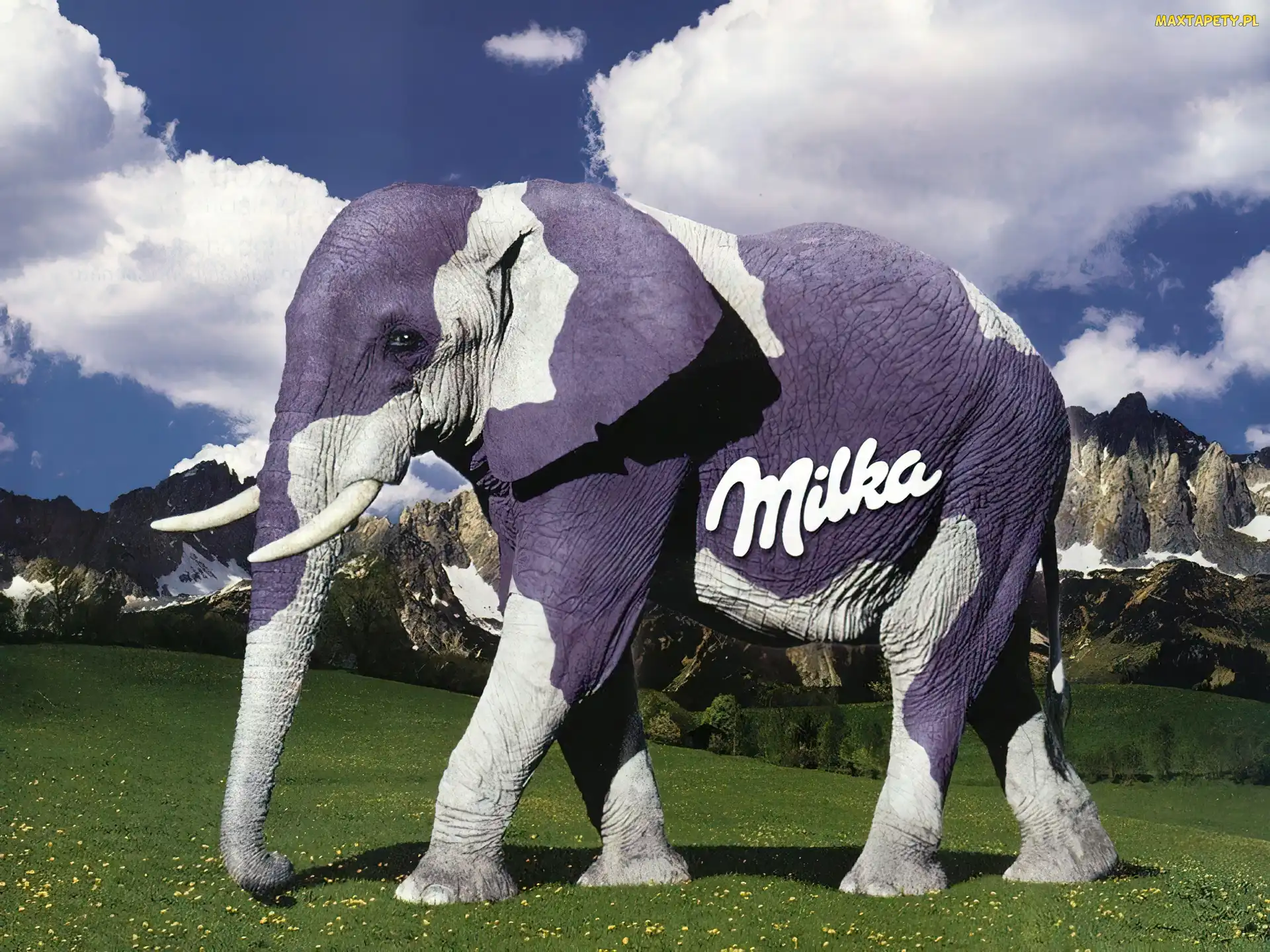 Słoń, chmury, góry, niebo, Milka