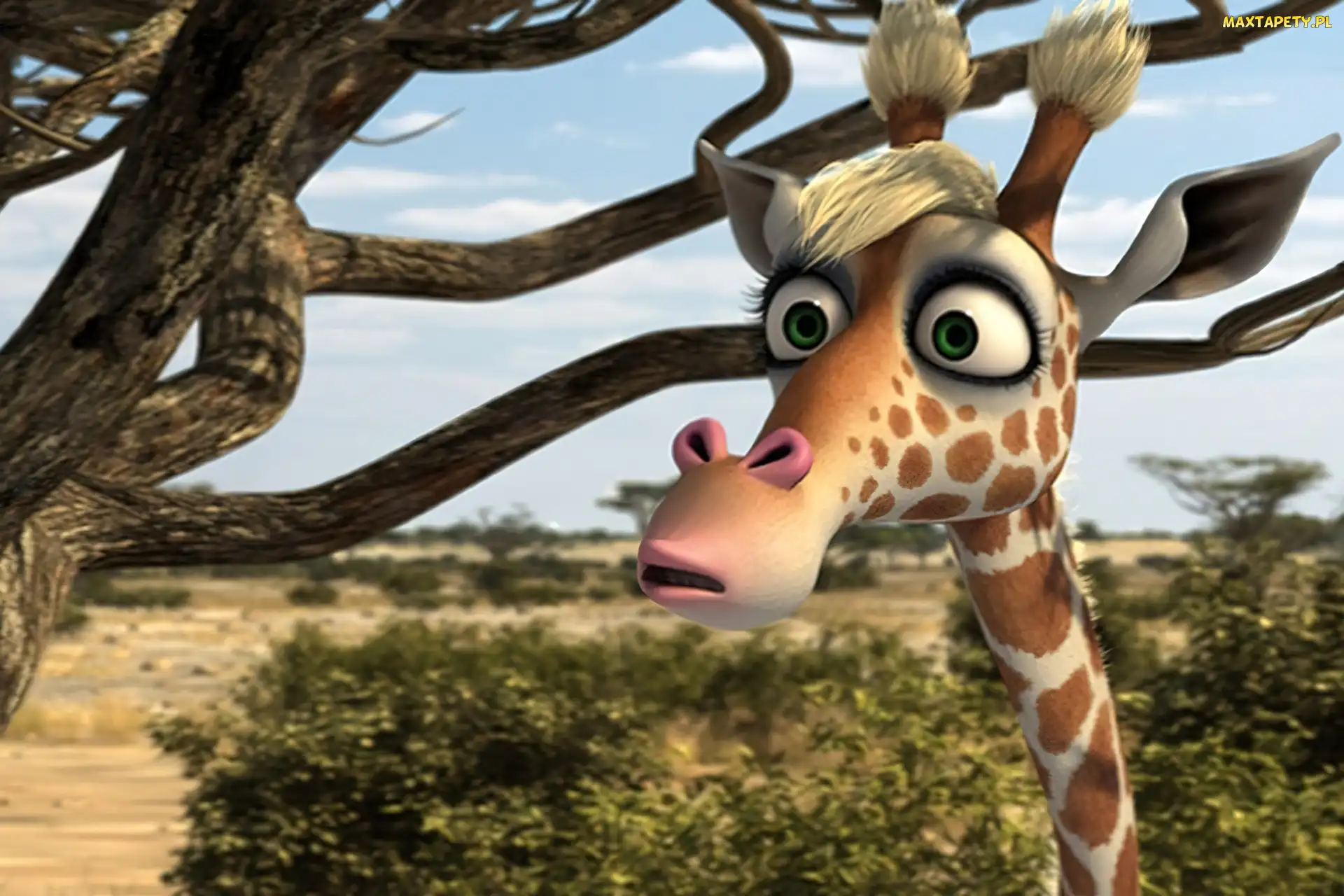 Żizel, Żyrafa, Safari 3D, Konferenz der Tiere