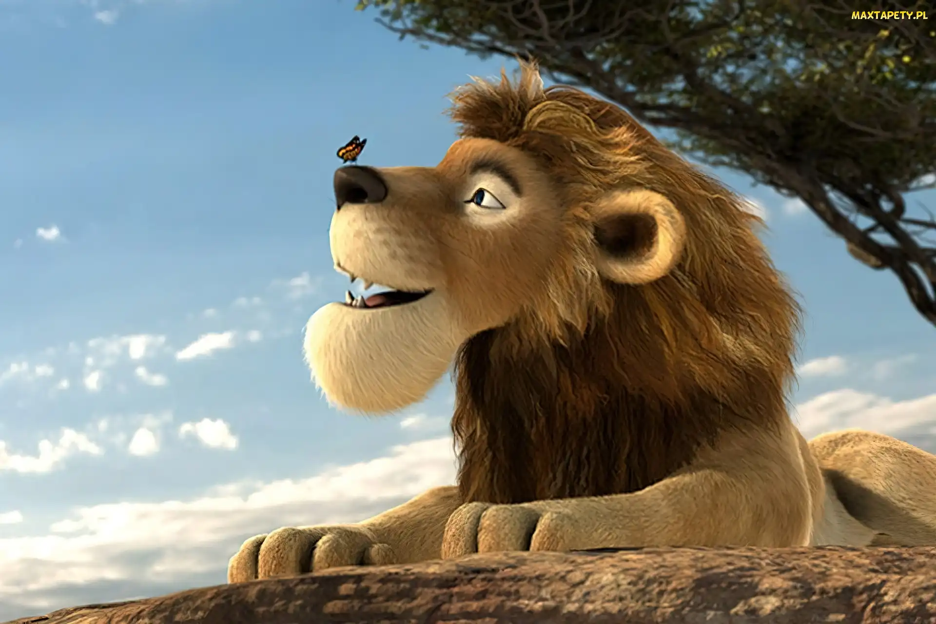 Sokrates, Konferenz der Tiere, Safari 3D, Motyl, Lew