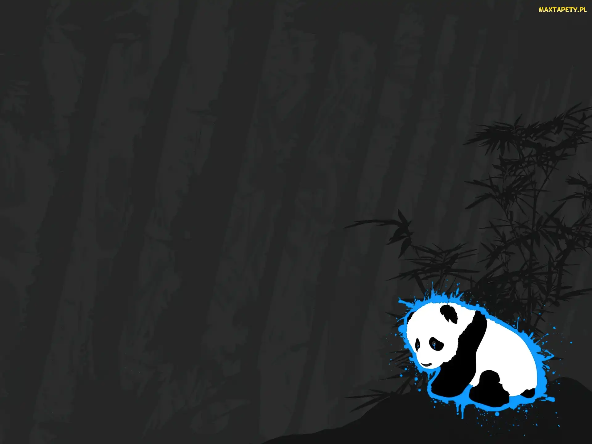 Szare, Tło, Panda