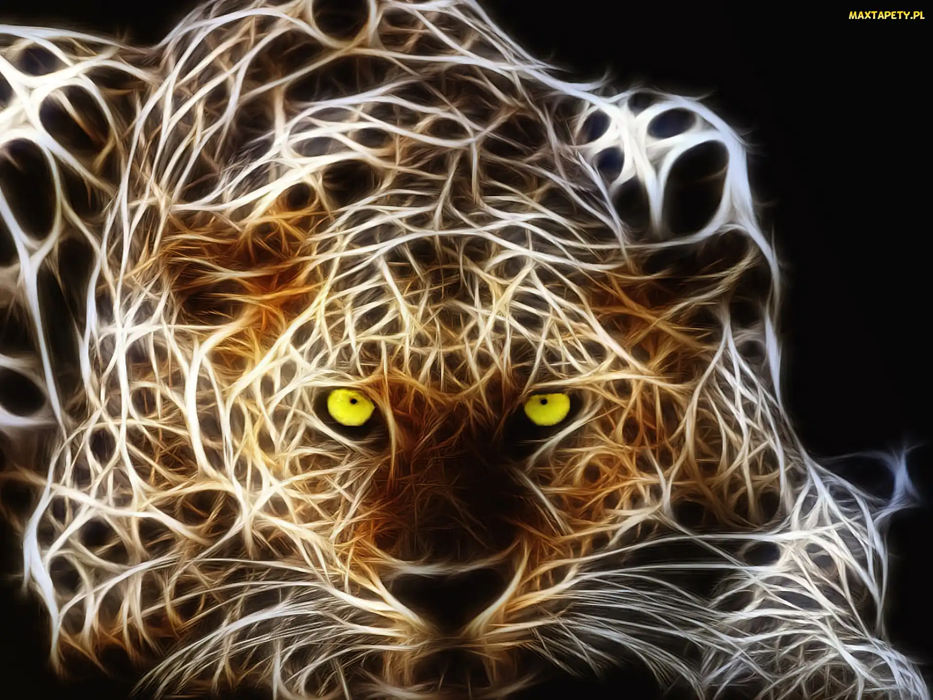 Oczy, Fractalius, Lampart