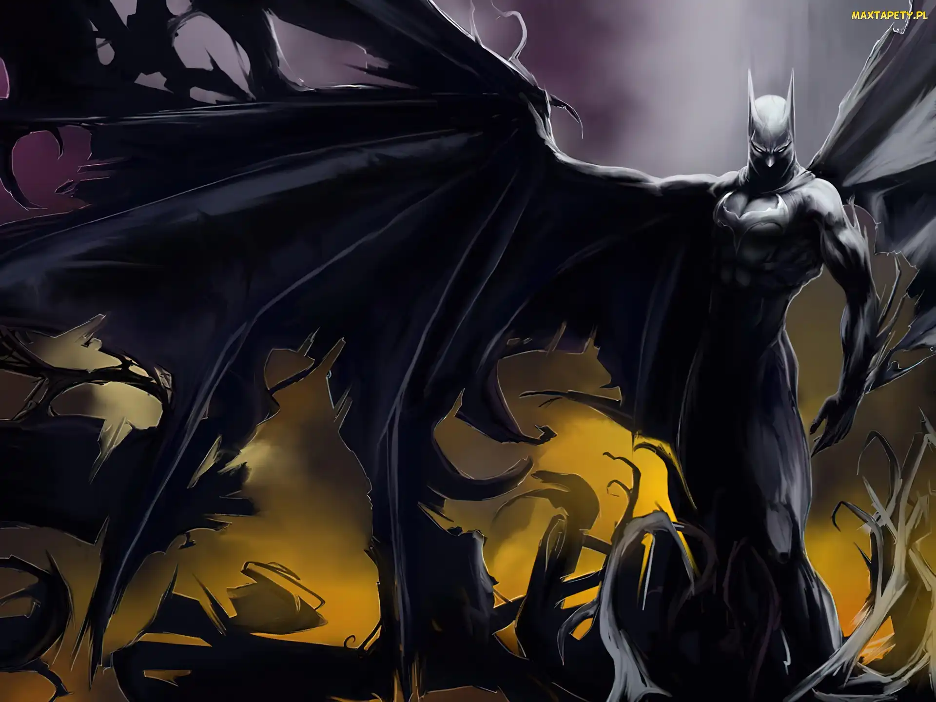 Skrzydła, Nietoperz, Batman