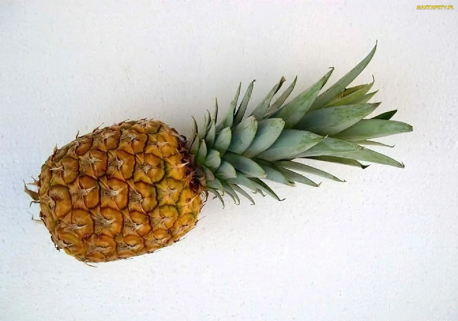 Zielony, Pióropusz, Ananas