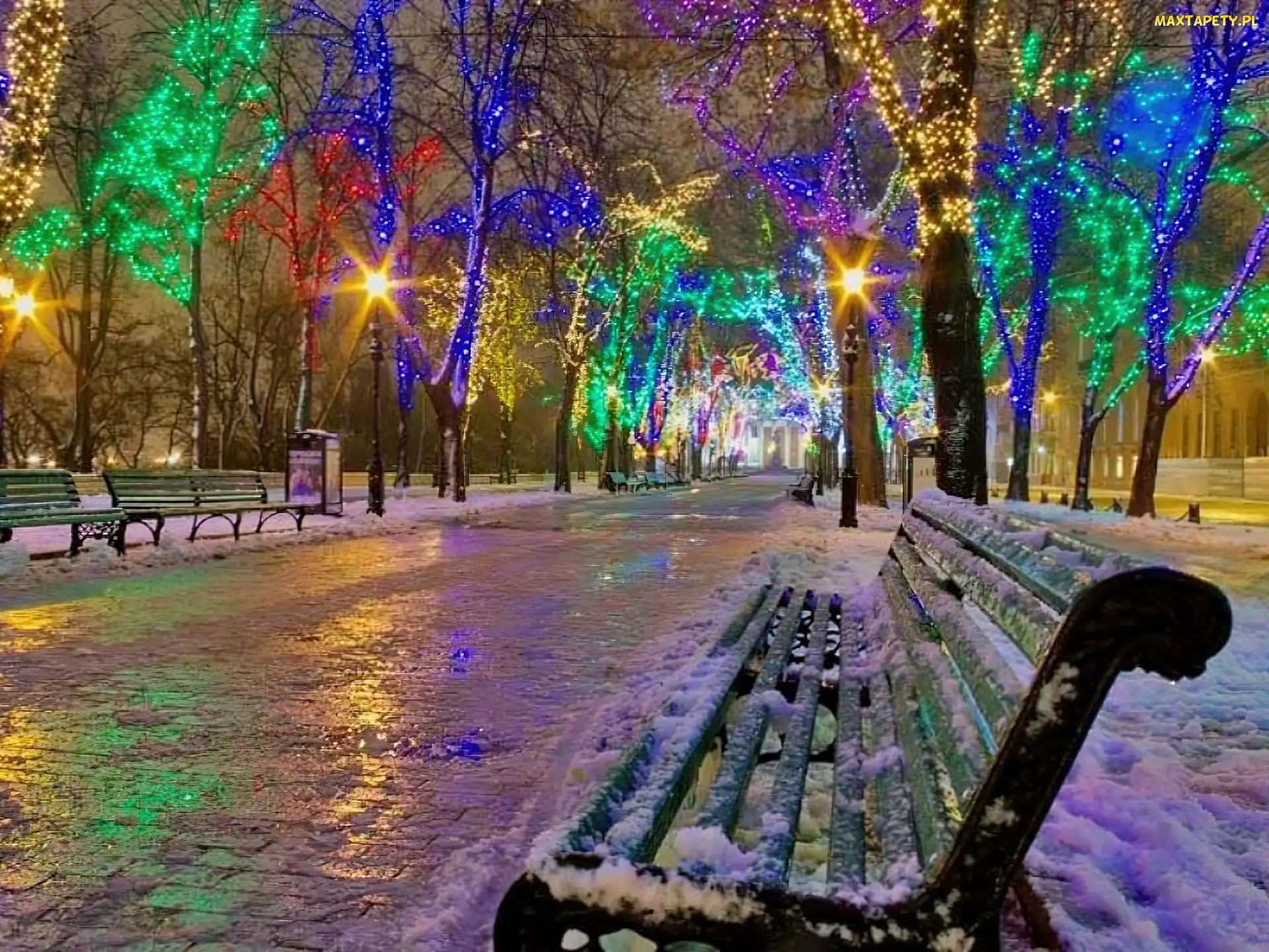 Zima, Lampki, Park