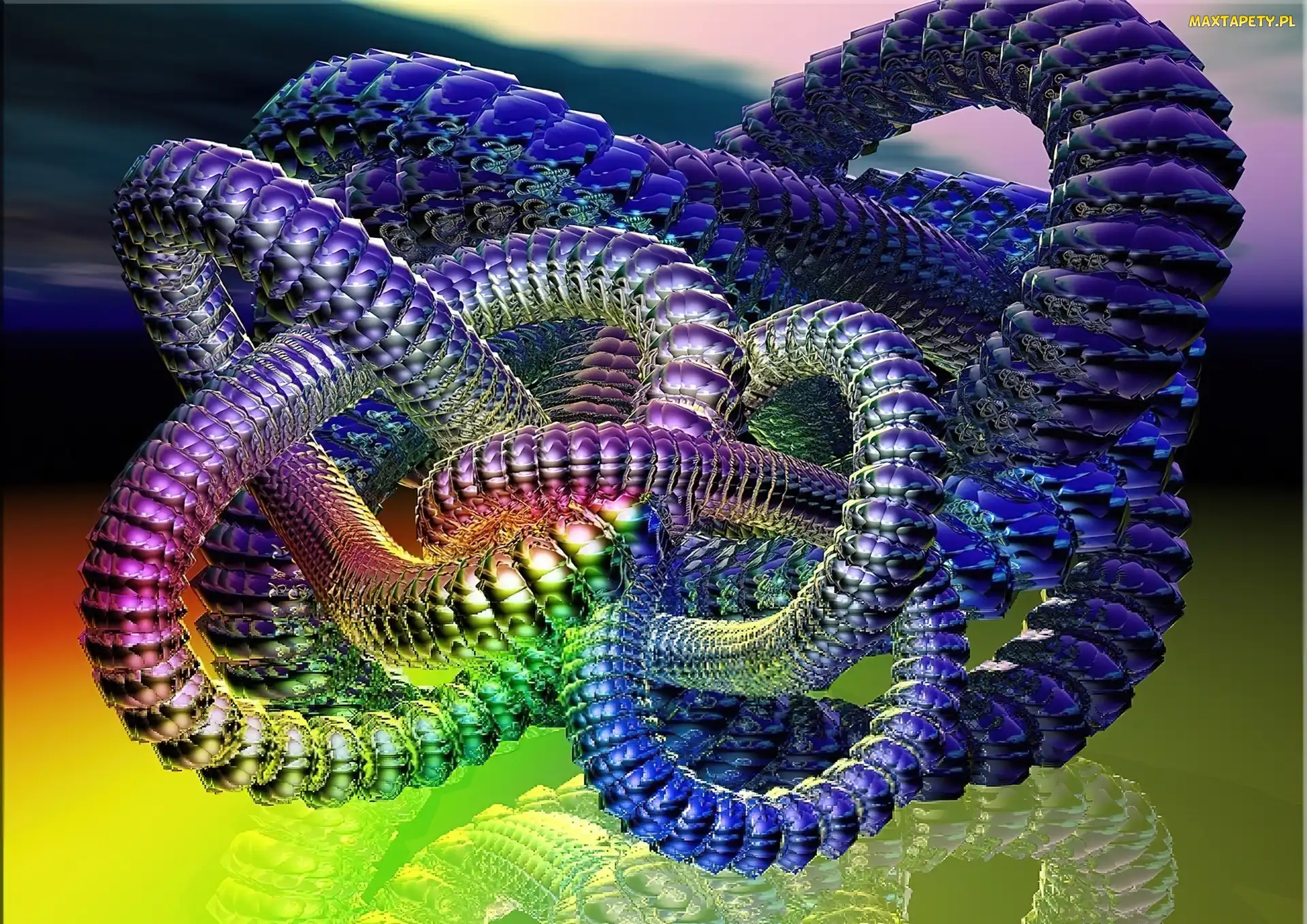 Wąż, 3D, Kolorowy
