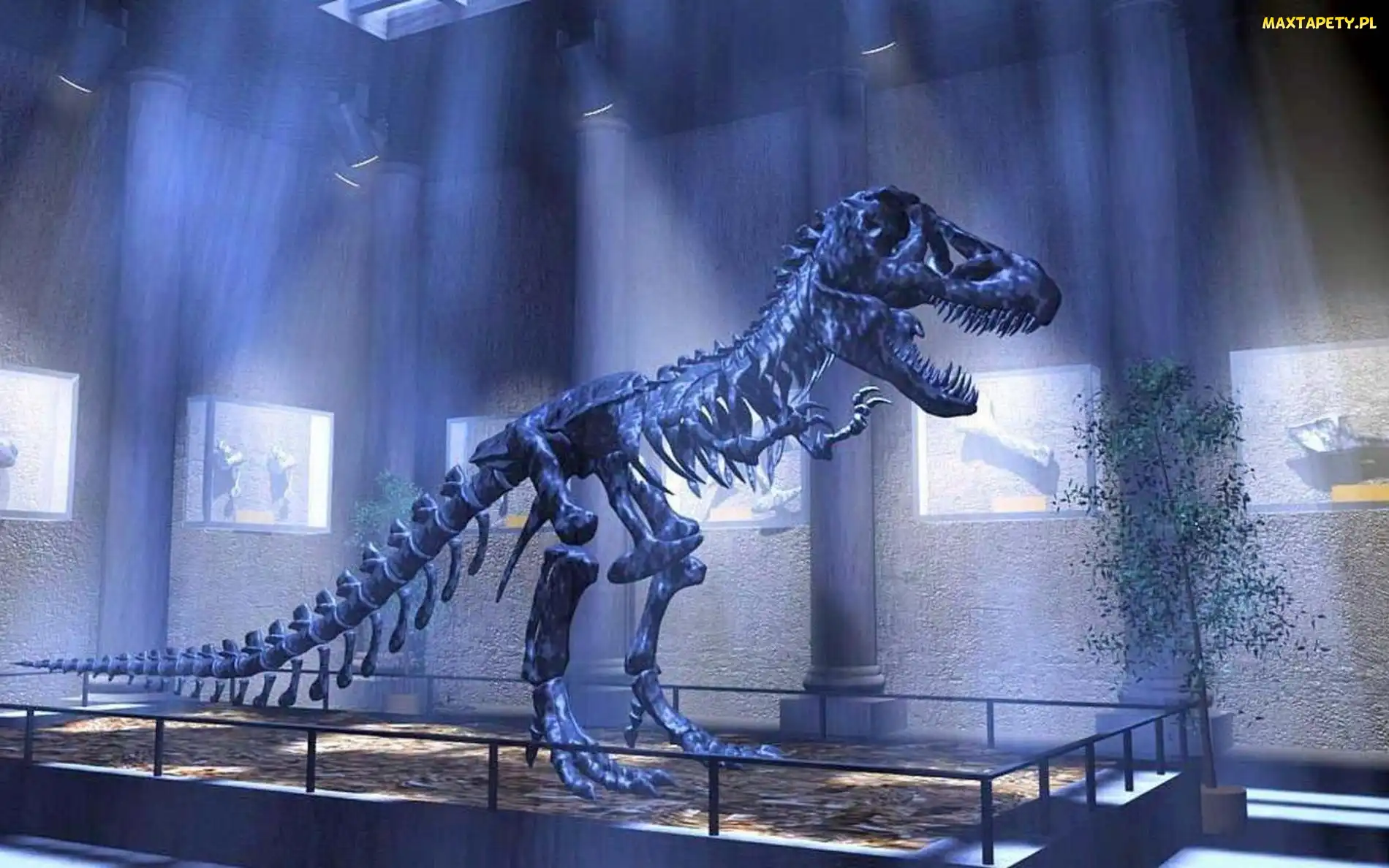 Szkielet, Dinozaura, Wystawa
