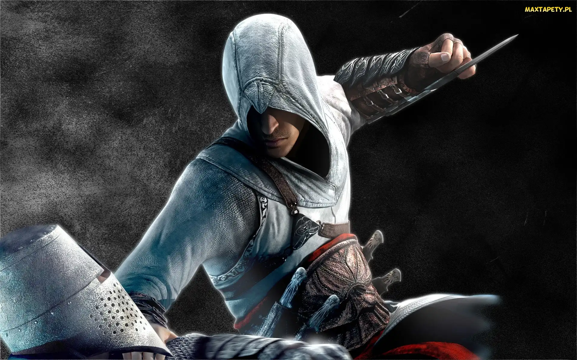 Assasins Creed, Wojownik