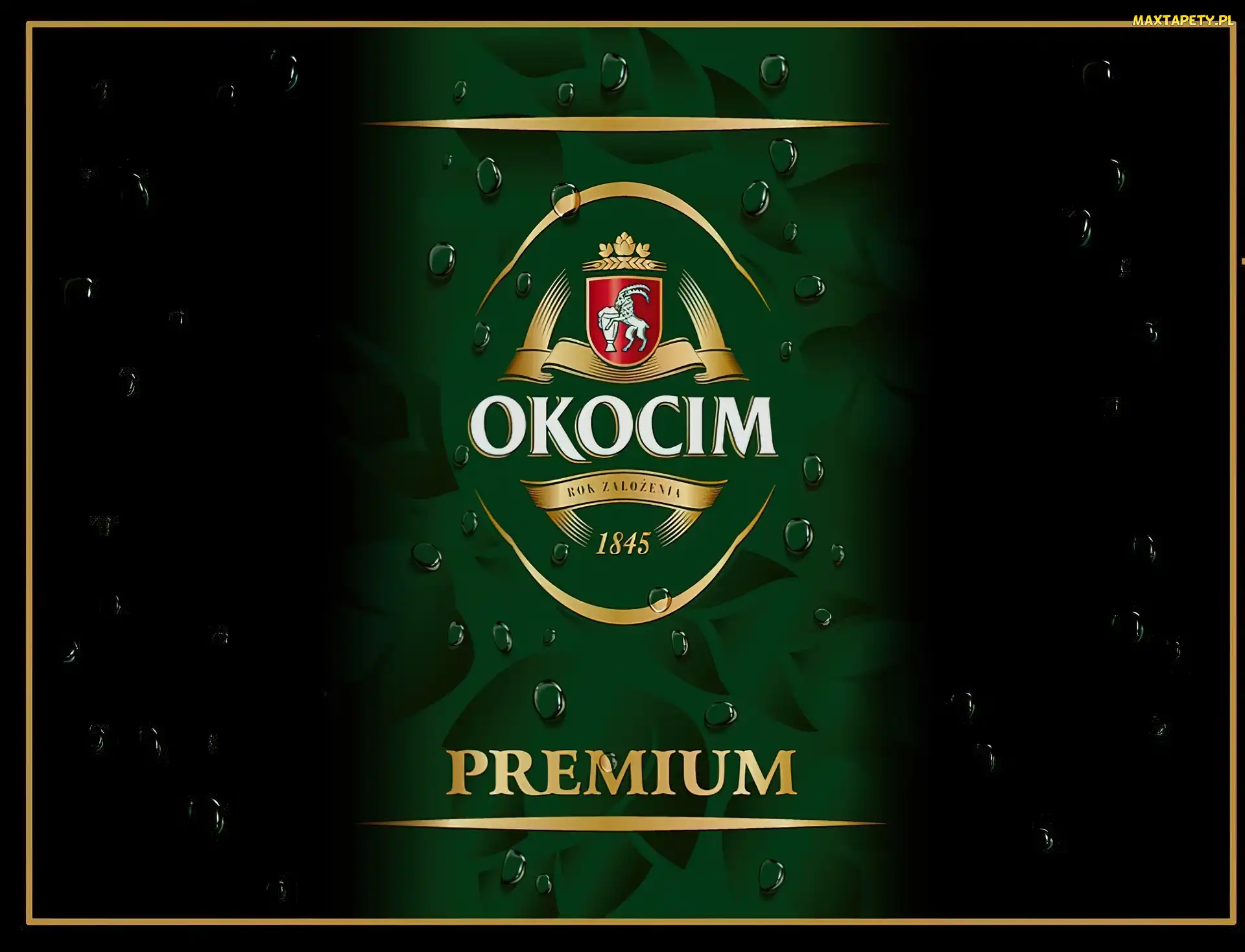 Premium, Logo, Okocim