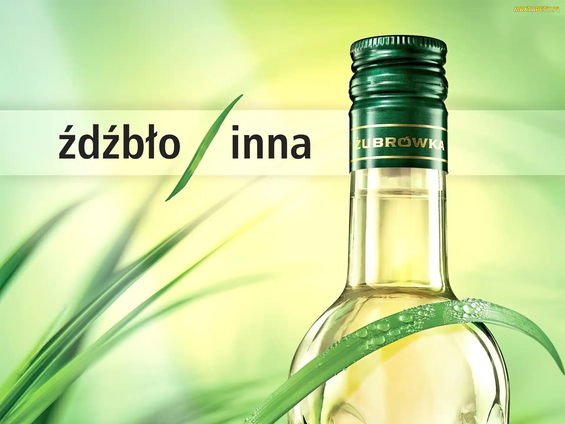Wódka, Trawy, Źdźbła, Żubrówka