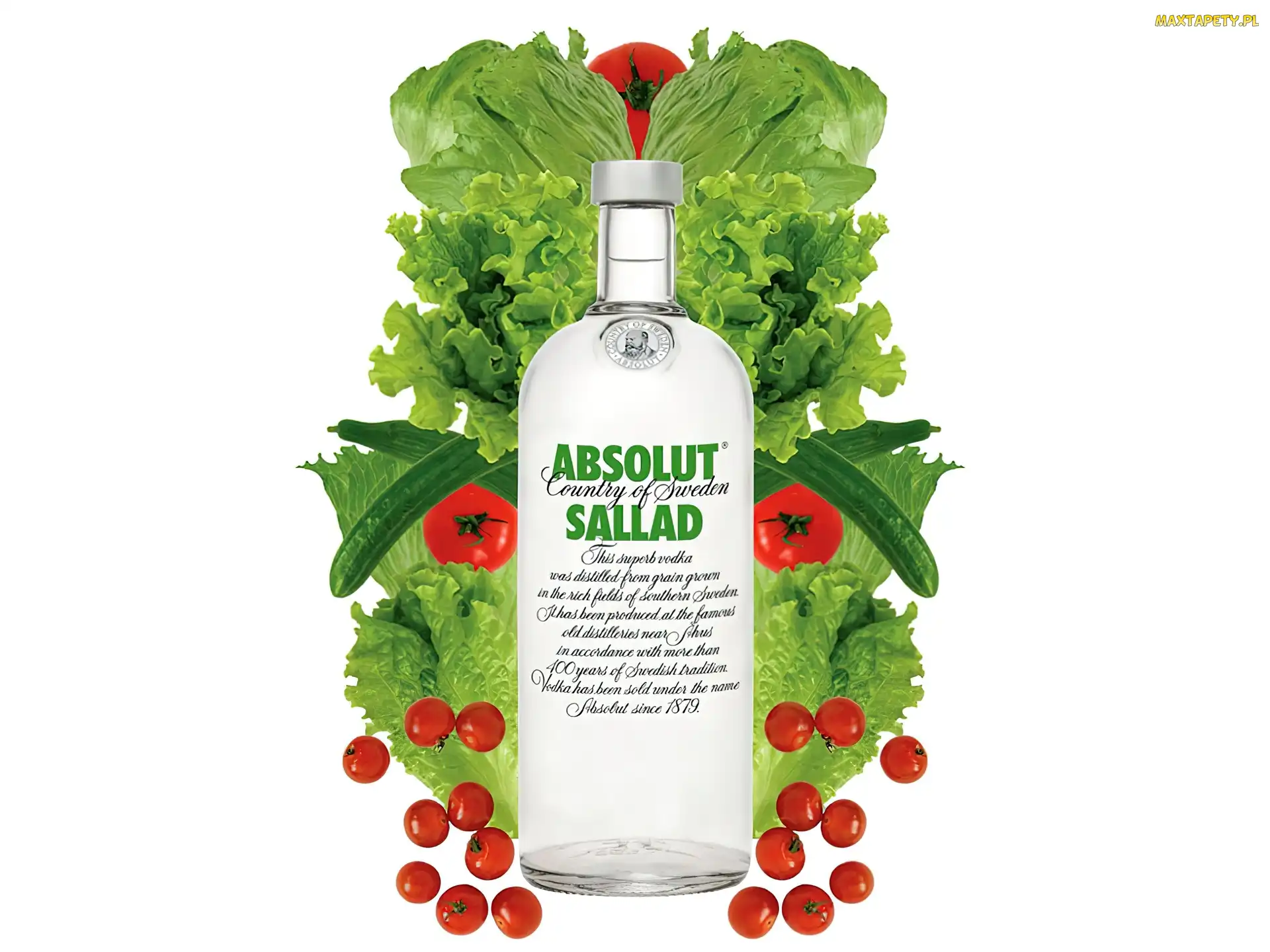 Ogórki, Sallad, Wódka, Absolut
