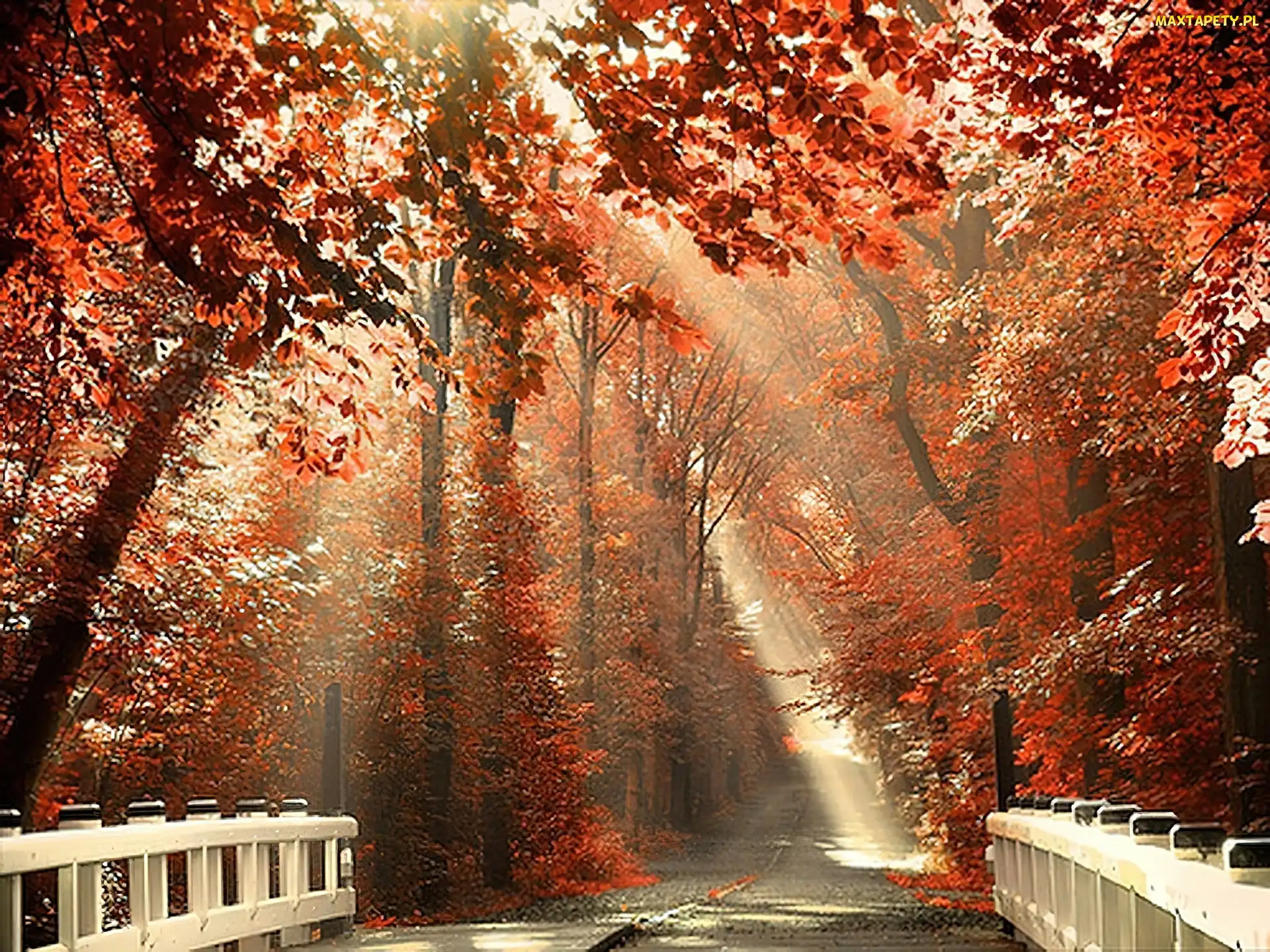 Jesień, Światło, Droga, Most
