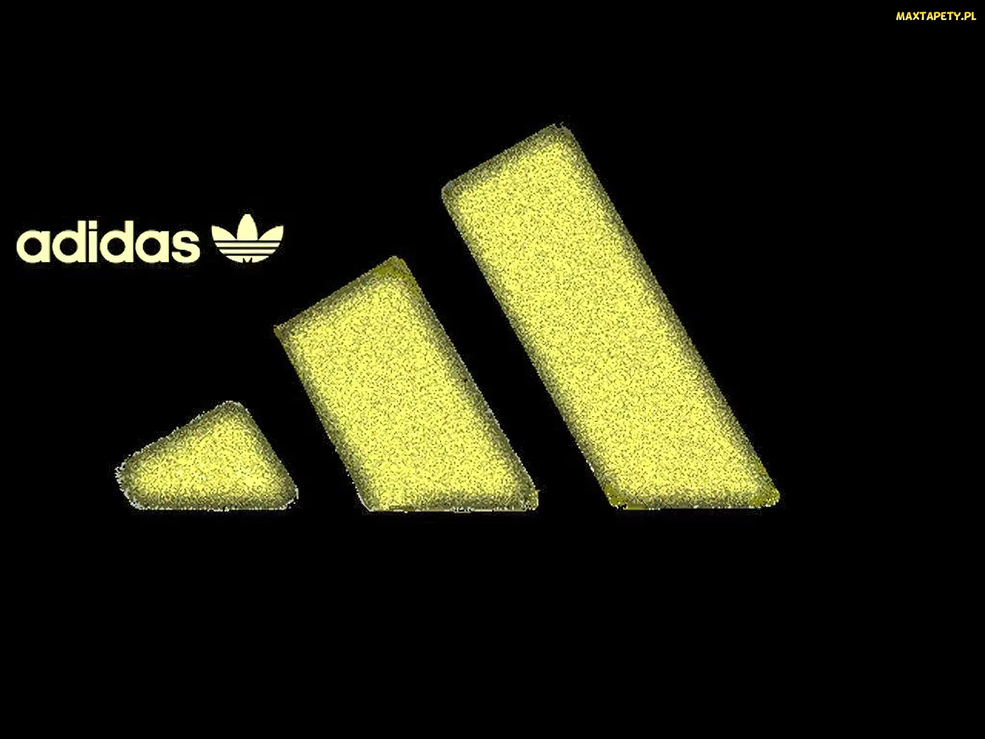 Paski, Żółte, Logo, Adidas