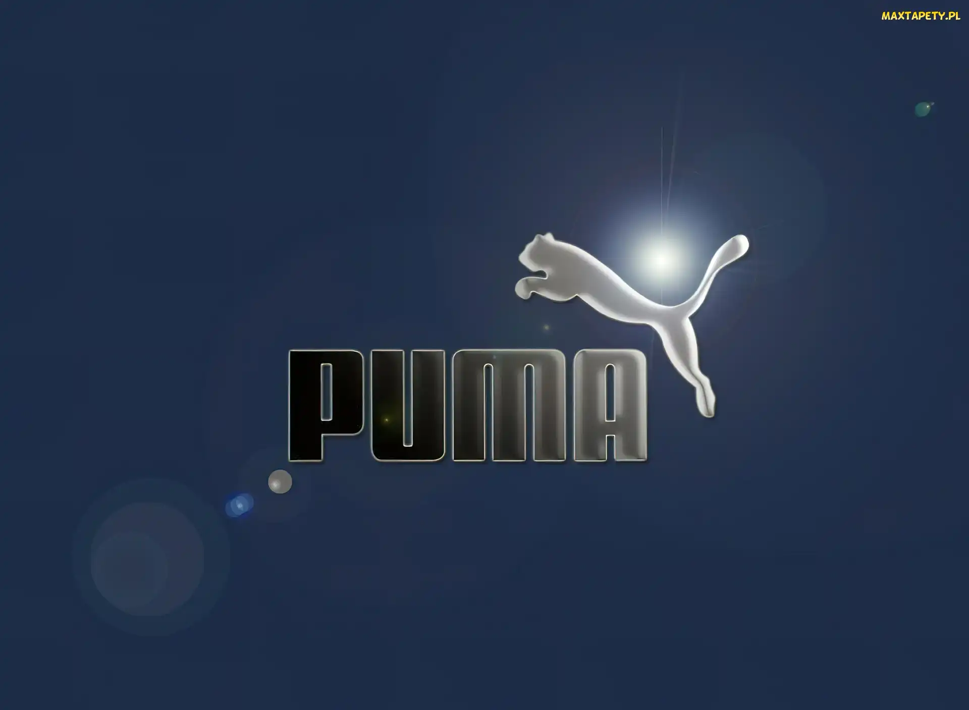Puma, Tło, Niebieskie, Logo, Nazwa