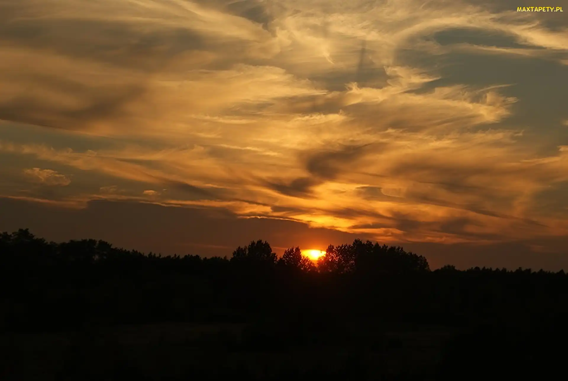 Zachodzące, Lasem, Nad, Słońce