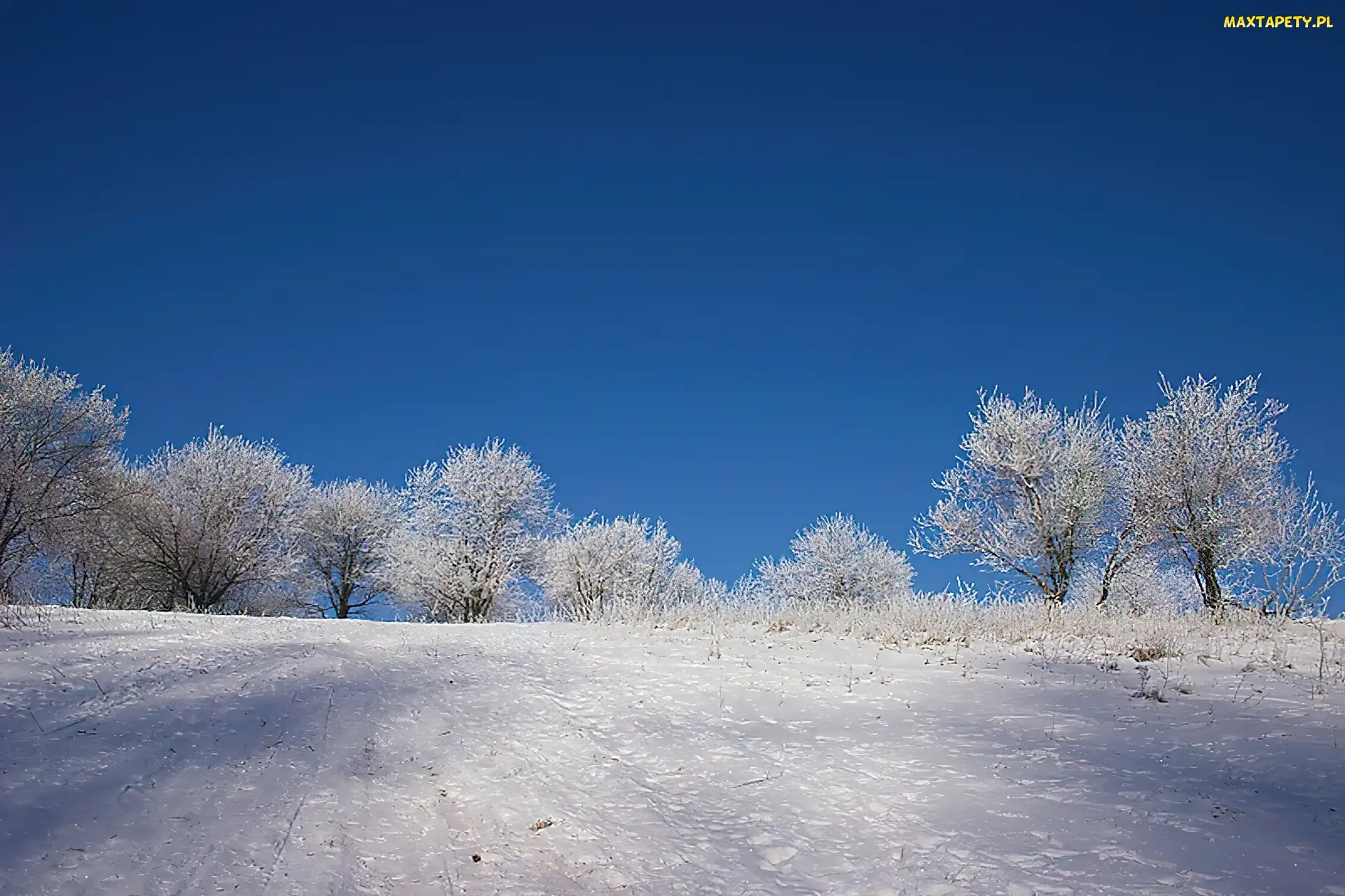 Pokrywa, Śnieżna, Zima