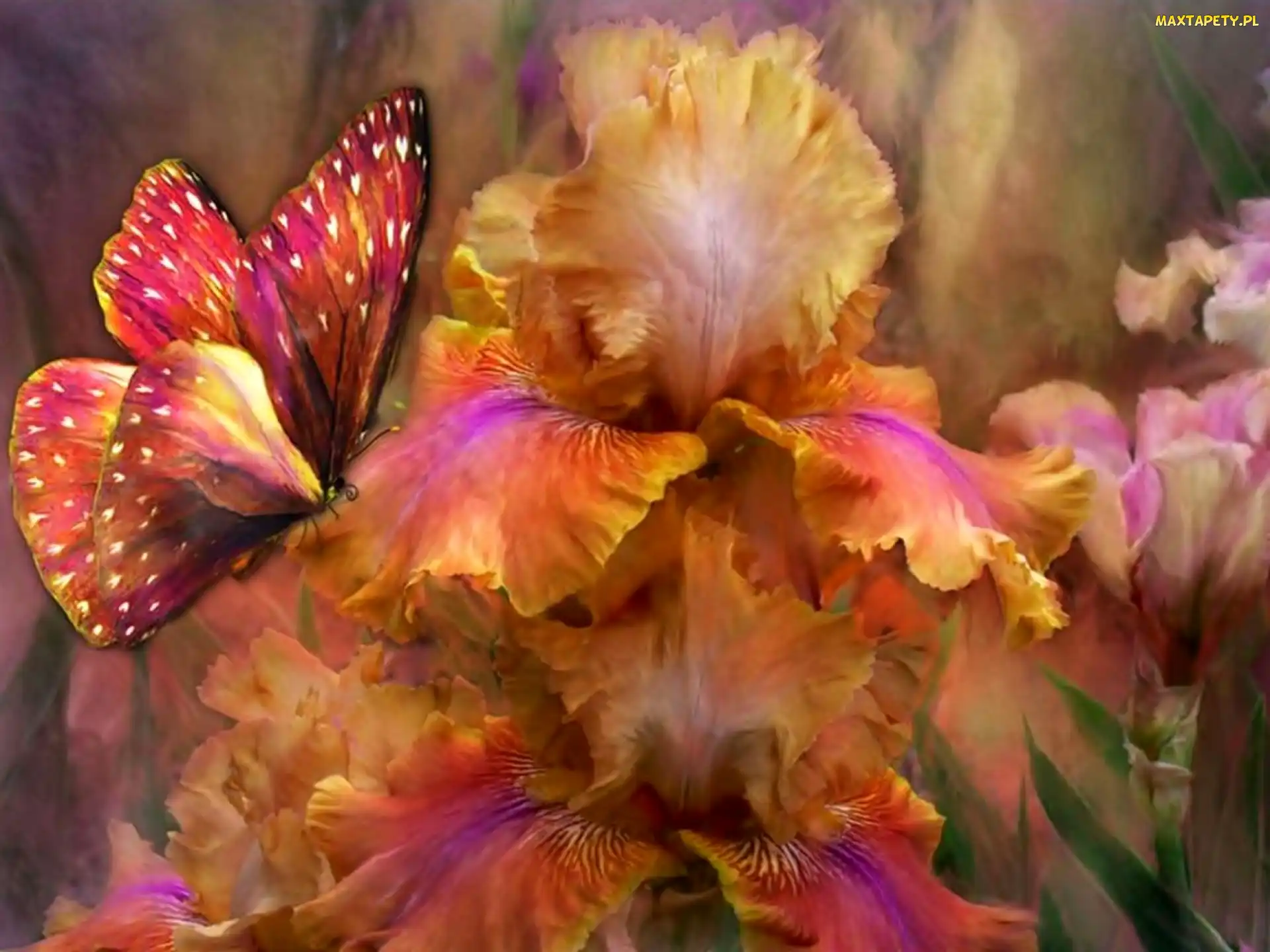 Kolorowy, Motyl, Kwiaty