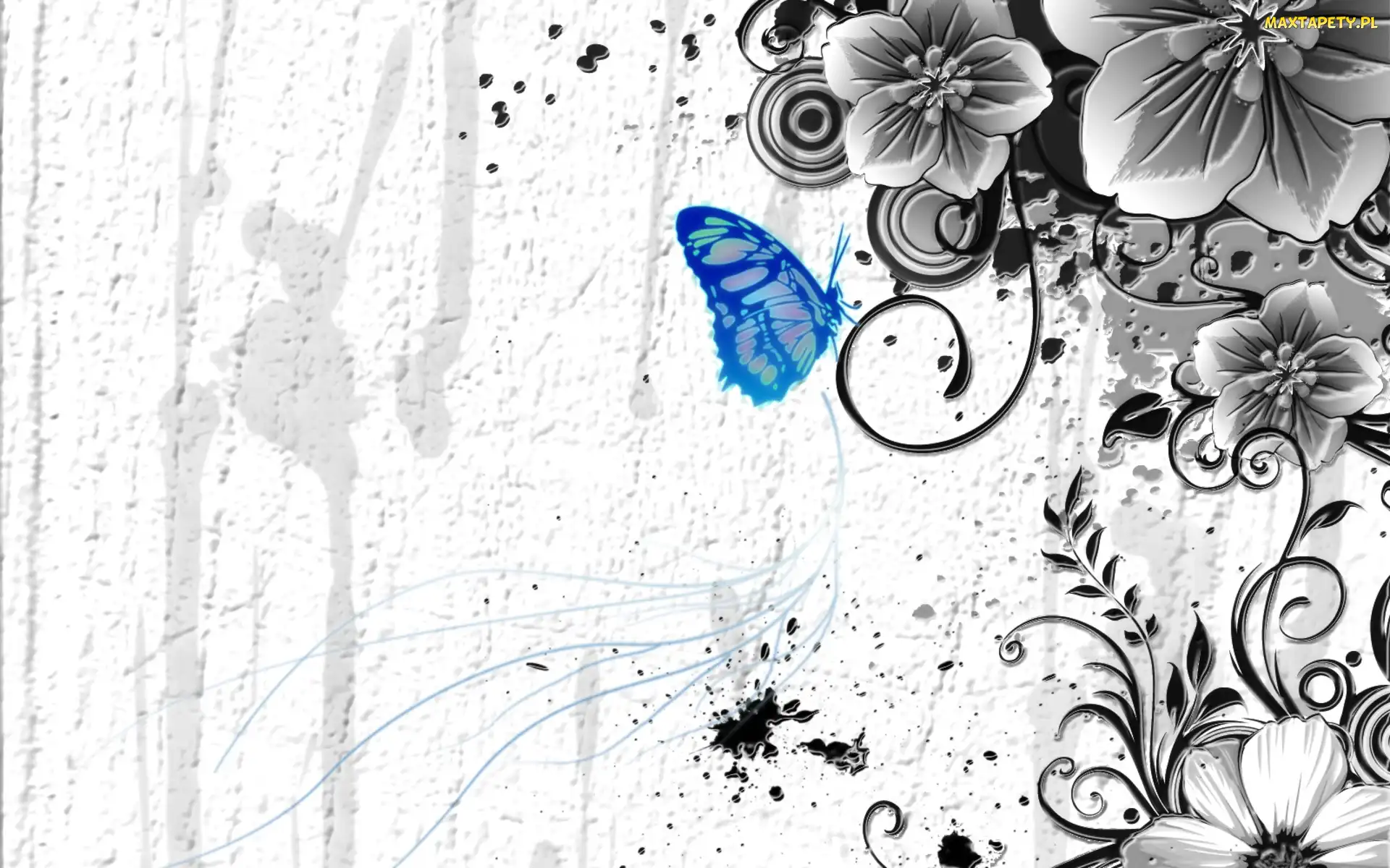 Kwiaty, Tekstura, Motyl