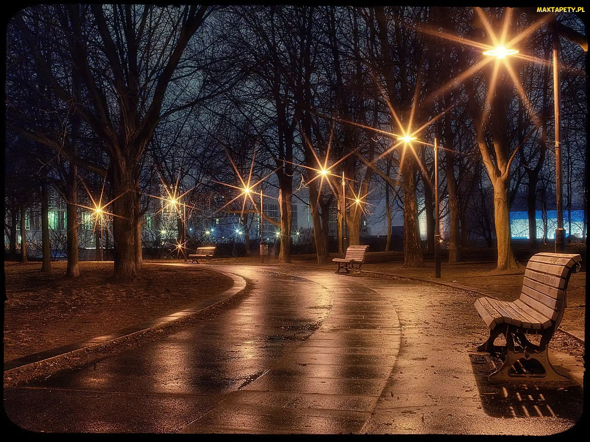 Jesień, Ławka, Park