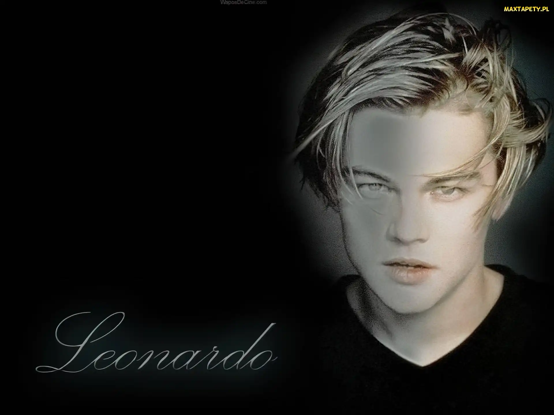 Leonardo DiCaprio, Aktor, Świetny