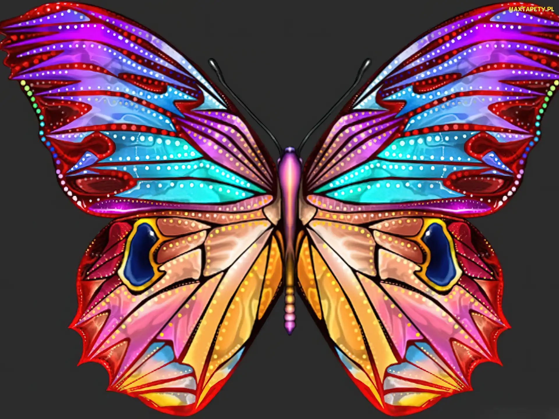 Kolorowy, Motyl, Duży