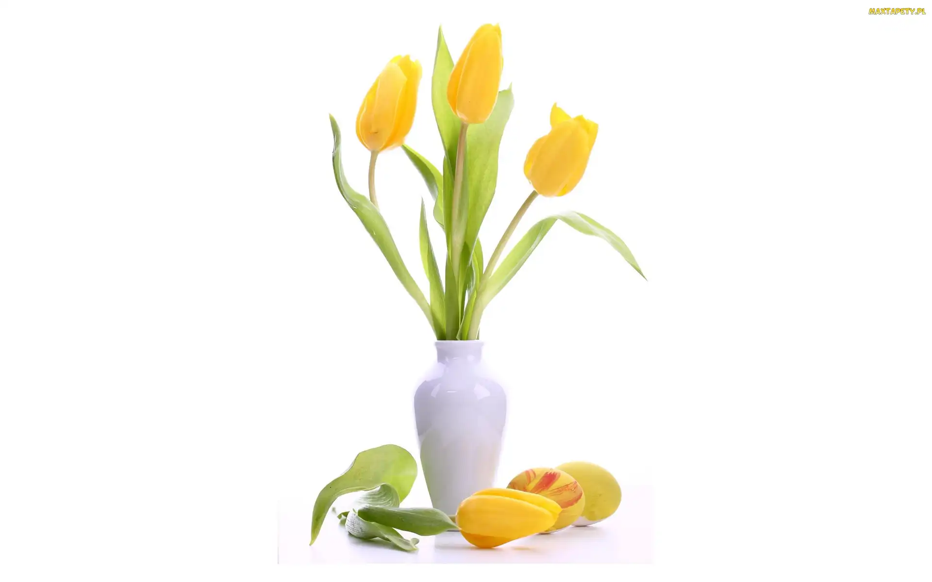 Wazonik, Biały, Żółte, Tulipany