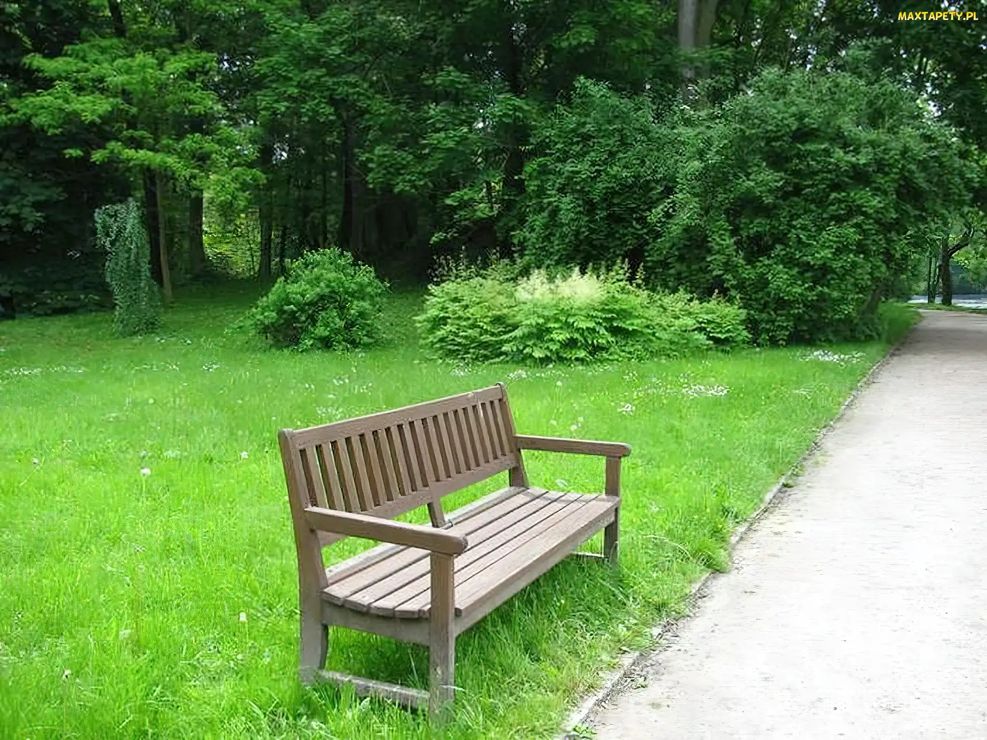Trawa, Park, Ławka
