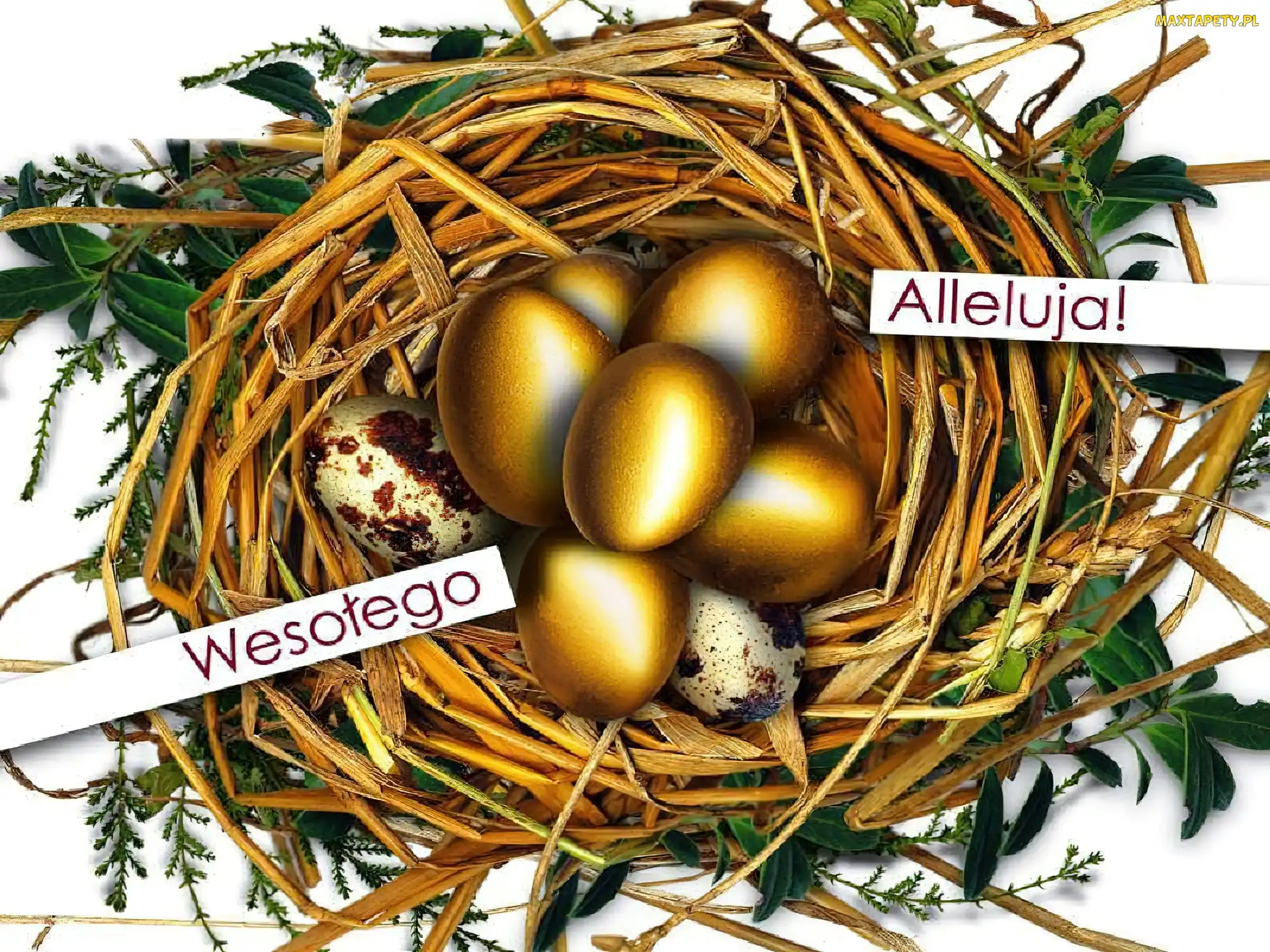 Złote, Alleluja, Wesołego, Pisanki, Gniazdko
