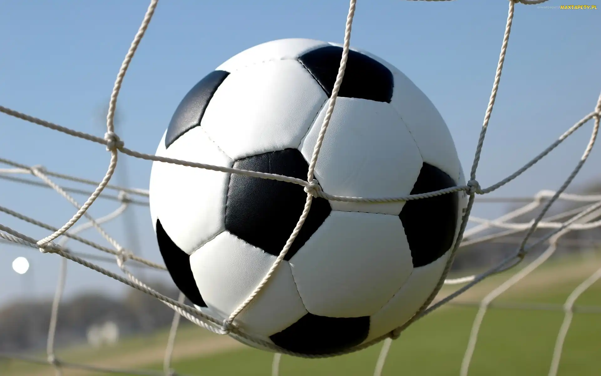 Gol, Sport, Piłka, Bramka