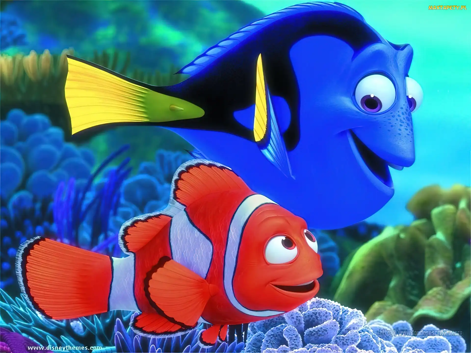 Gdzie jest Nemo, Rybki, Dwie, Finding Nemo