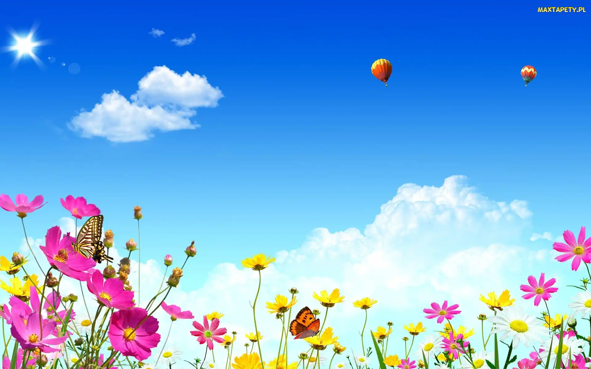 Balony, Niebo, Kolorowe, Wiosna, Motyle, Kwiatki