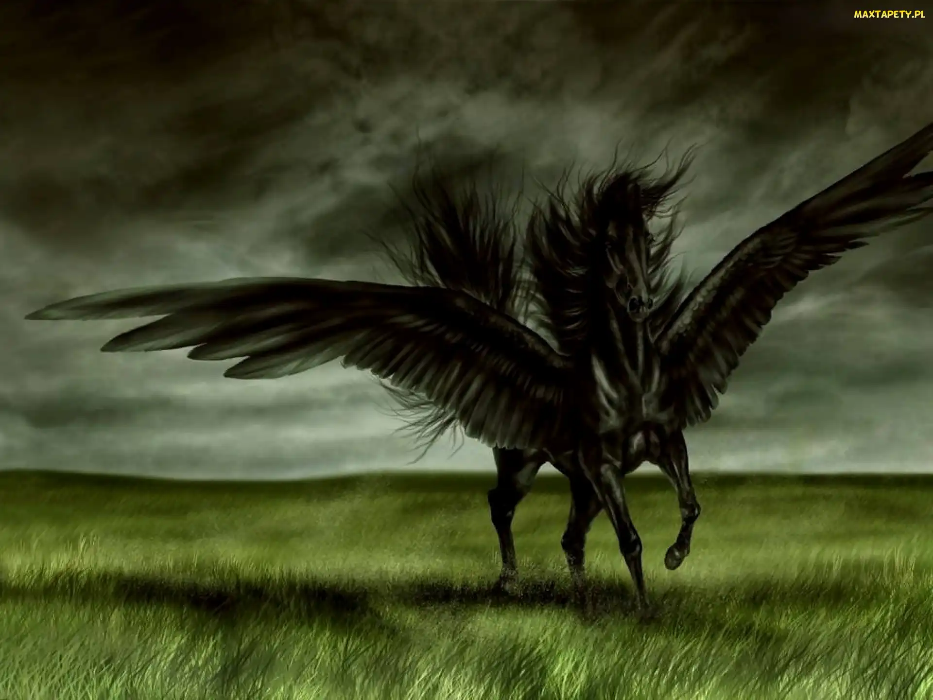 Koń, Fantasy, Latający