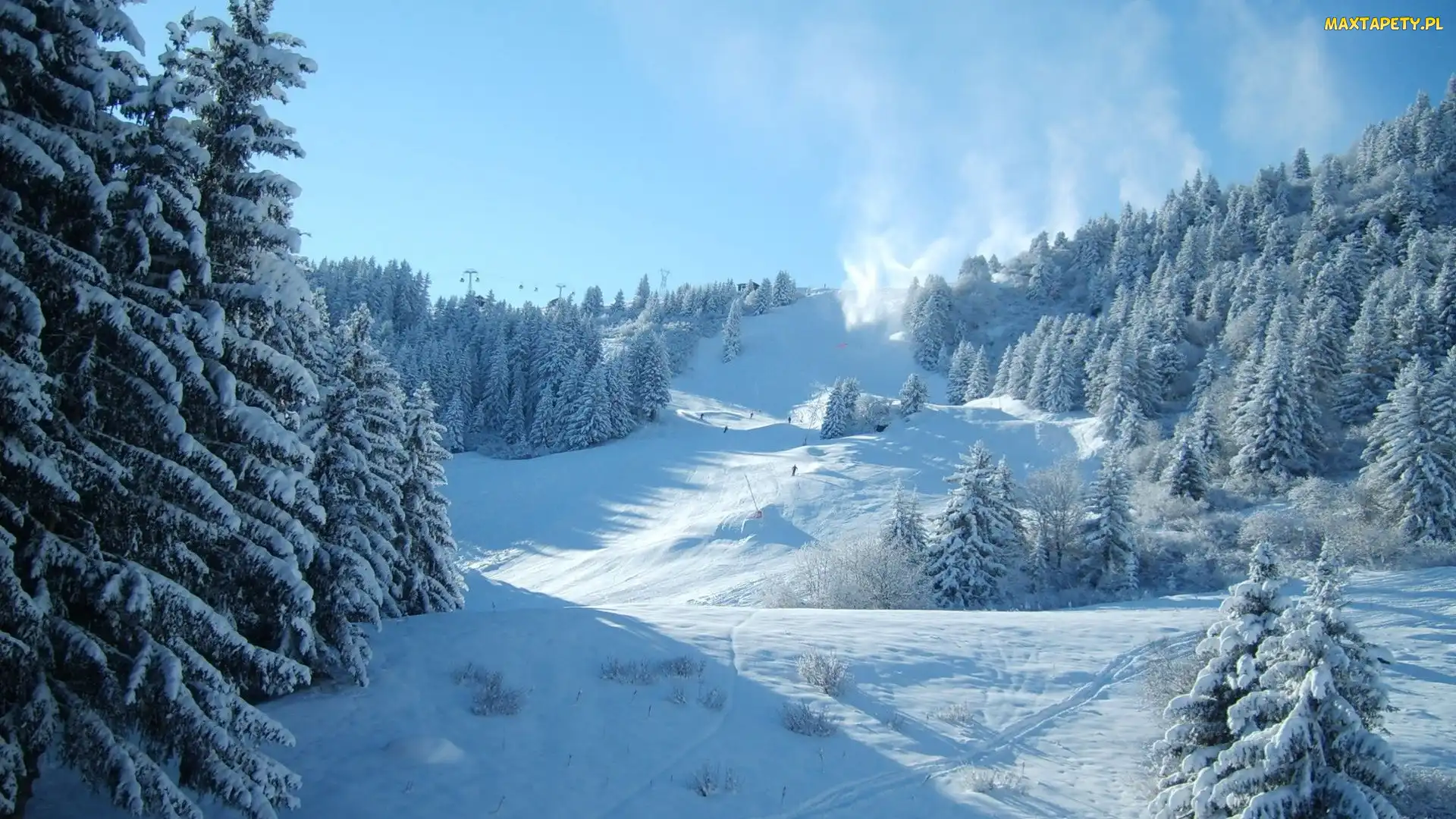 Drzewa, Stok, Śnieg