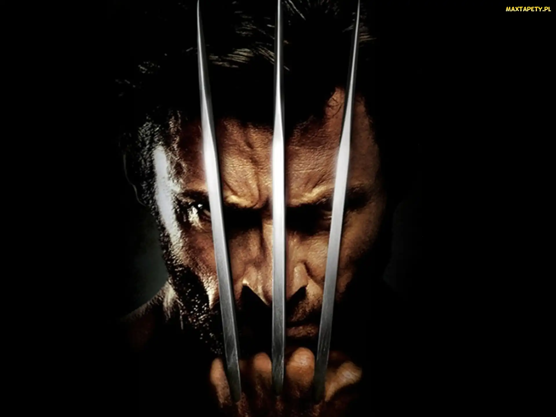 Wolverine, X-Man