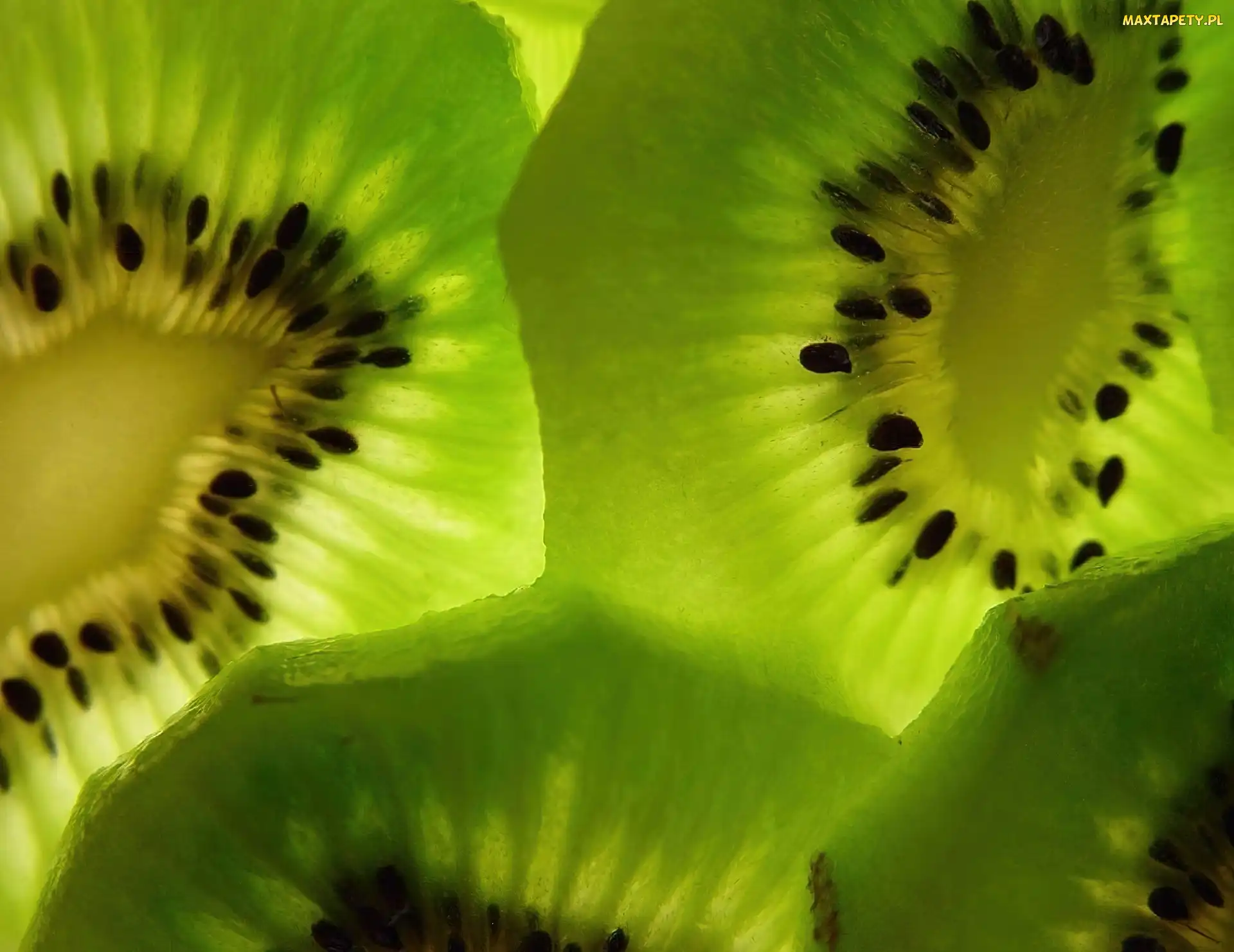 Kiwi, Plasterki