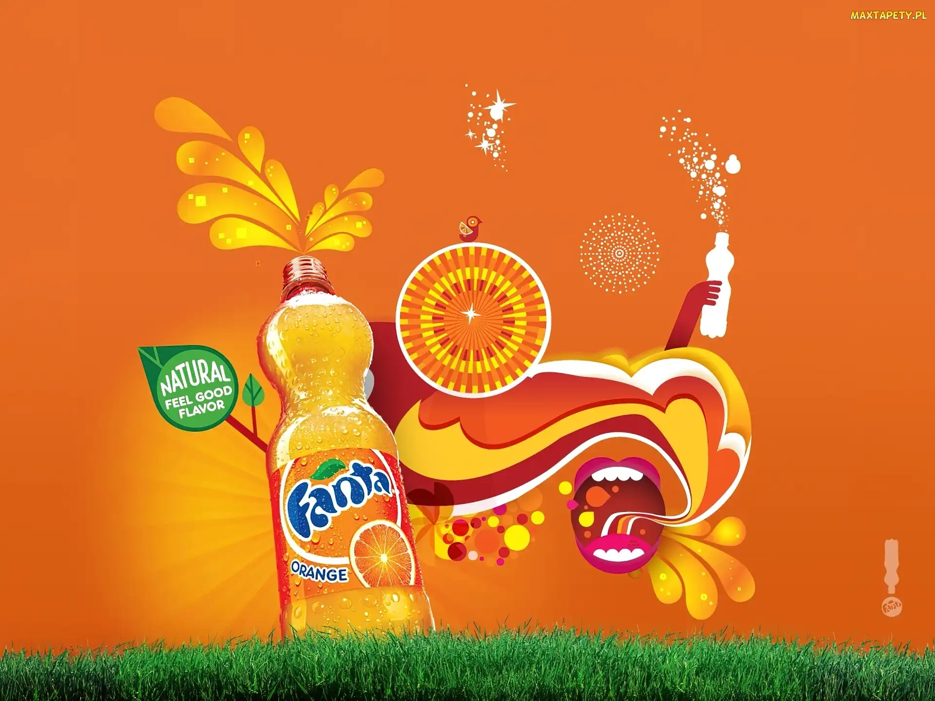 Orange, Trawa, Zielona, Natura, Fanta