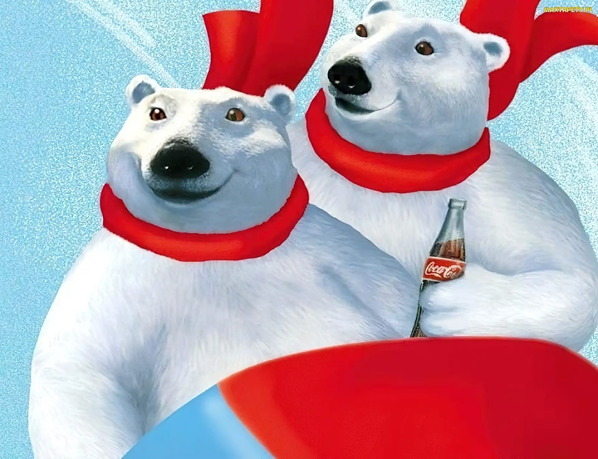 Coli, Polarne, Niedźwiadki, Dwa, Butelka