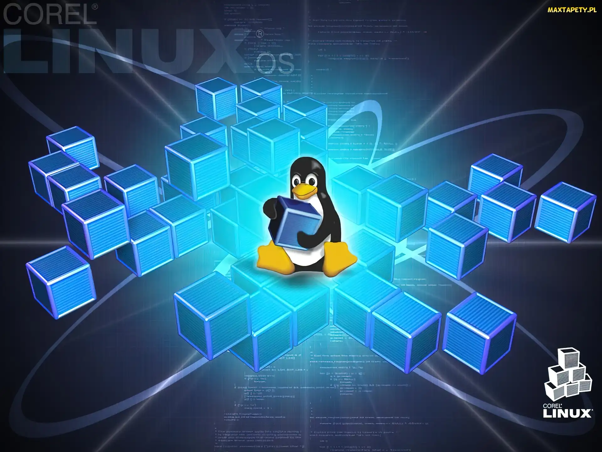 Pingwin, Klocki, Linux