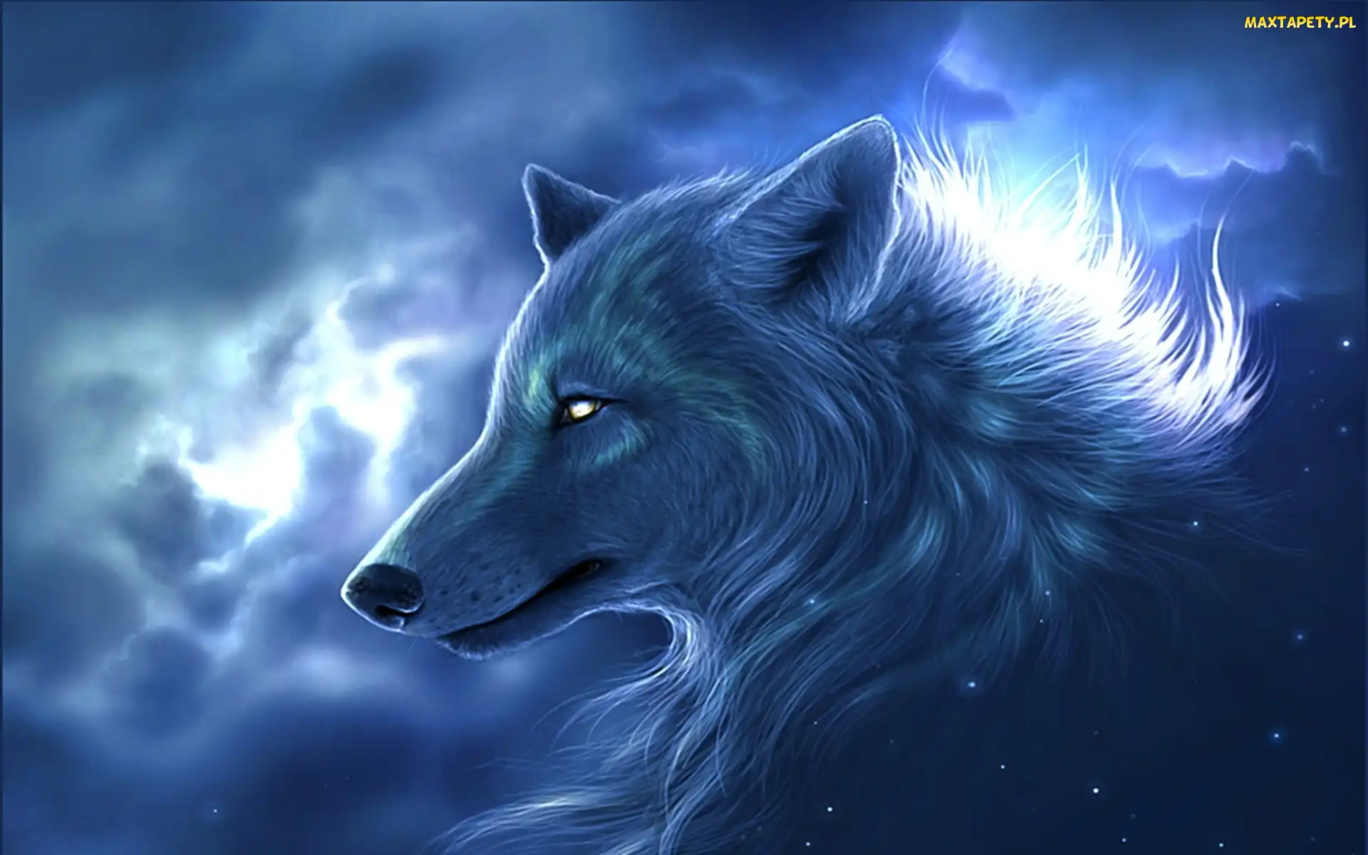 Fantasy, Wilk