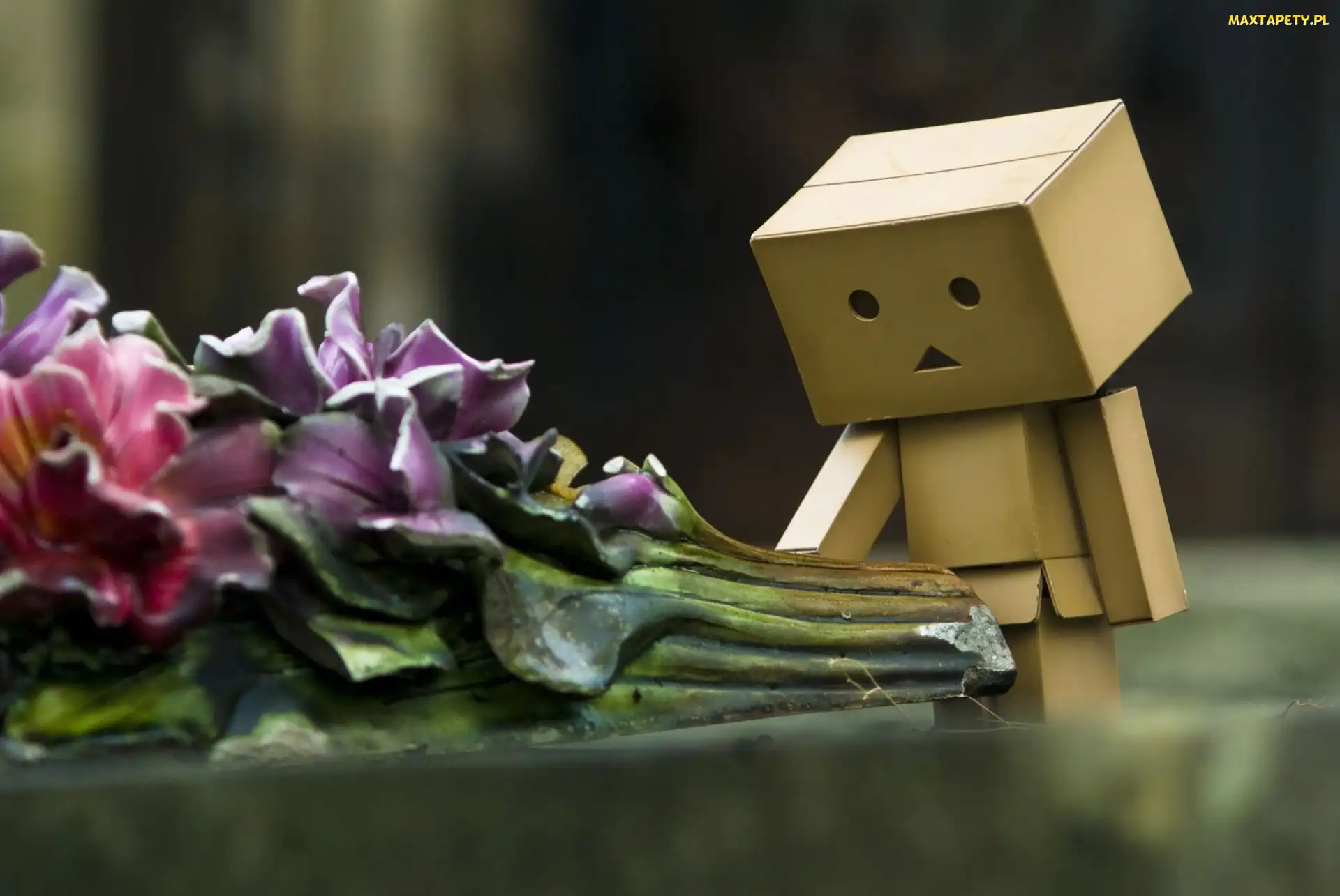Danbo, Kwiaty