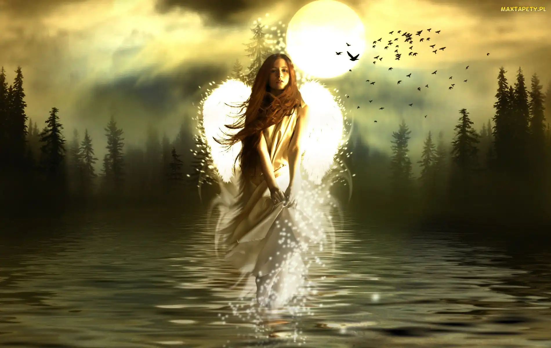 Fantasy, Las, Kobieta, Jezioro
