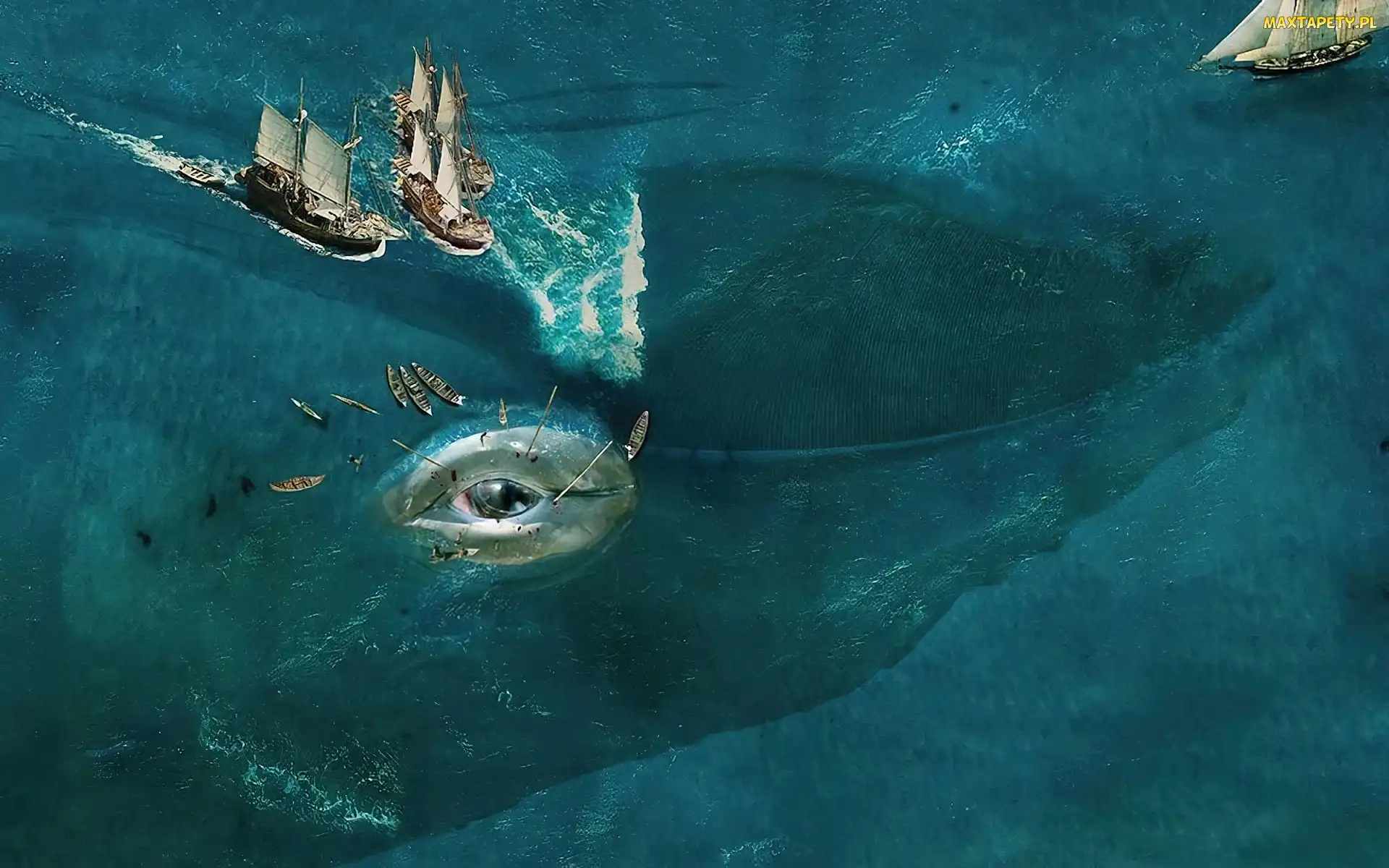 Ocean, Wieloryb, Oko, Żaglowce