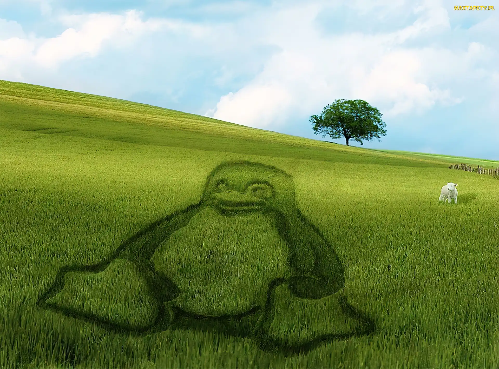 Pingwin, Trawa, Linux