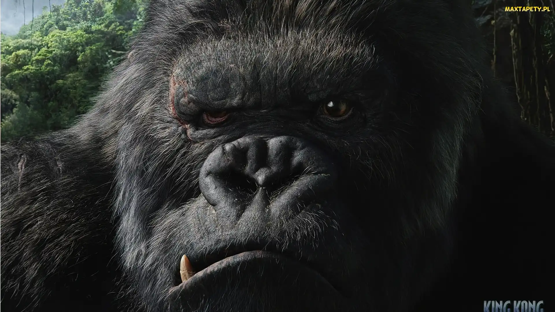 King, Kong