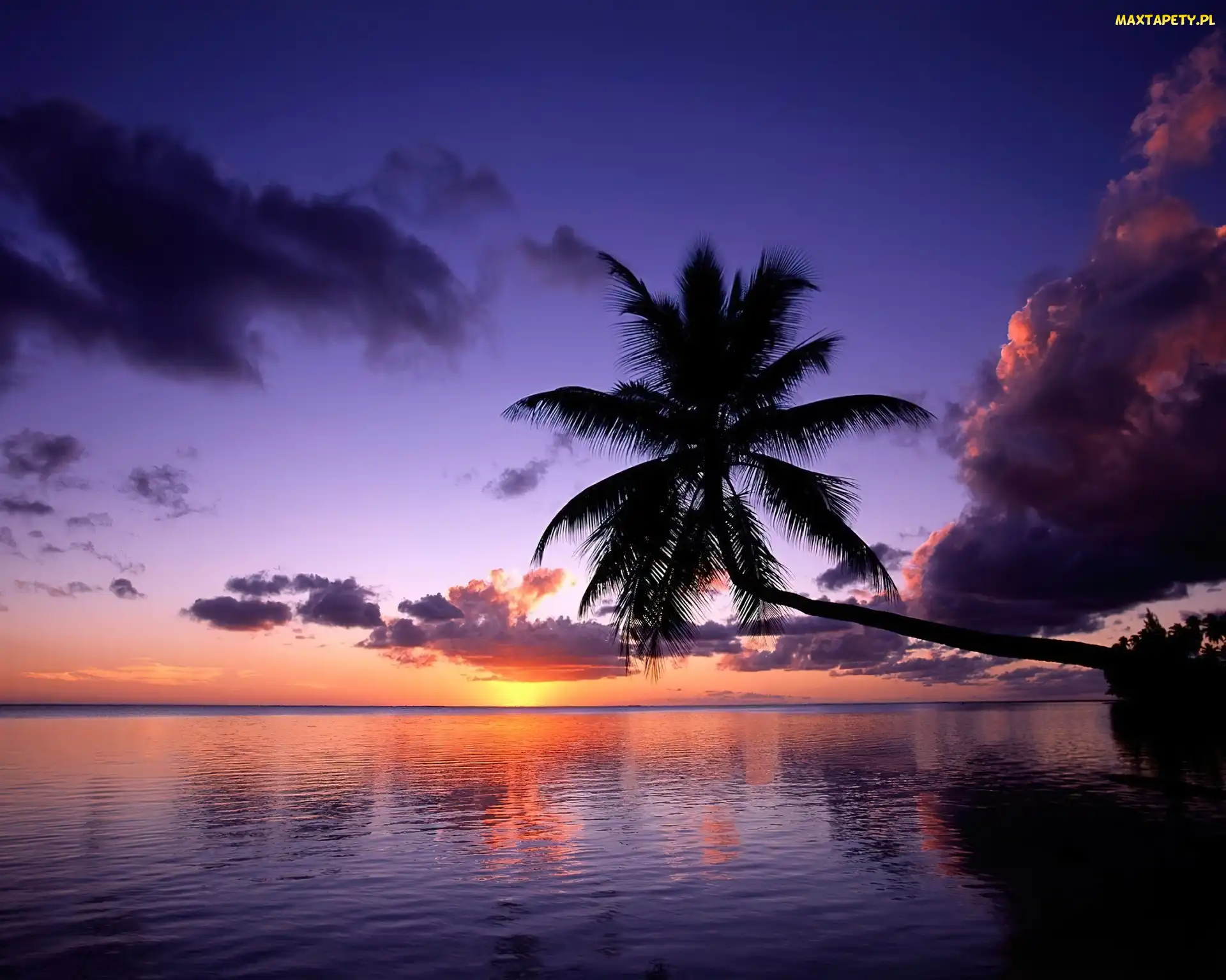 Woda, Palma, Polinezja Francuska, Bora-Bora