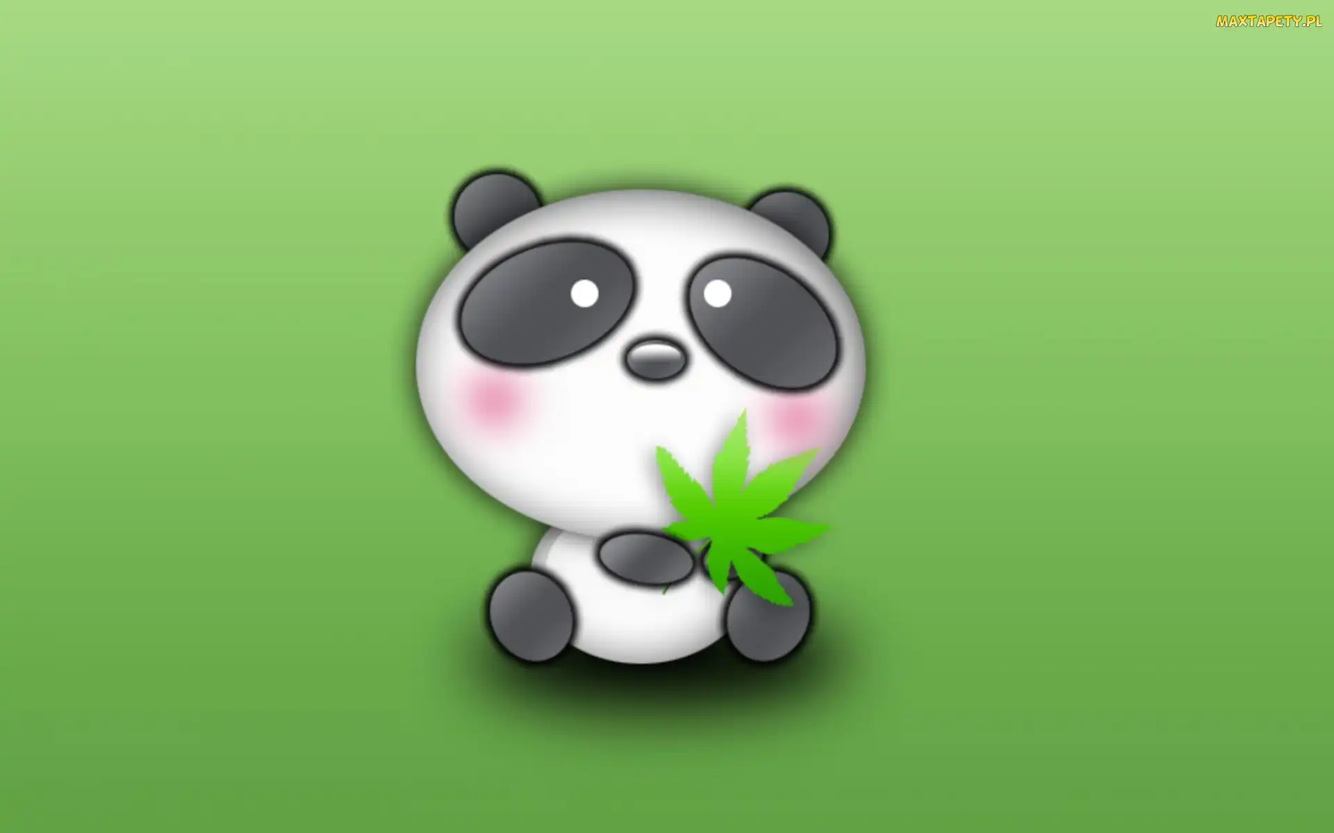 Panda, Marihuana, Mała