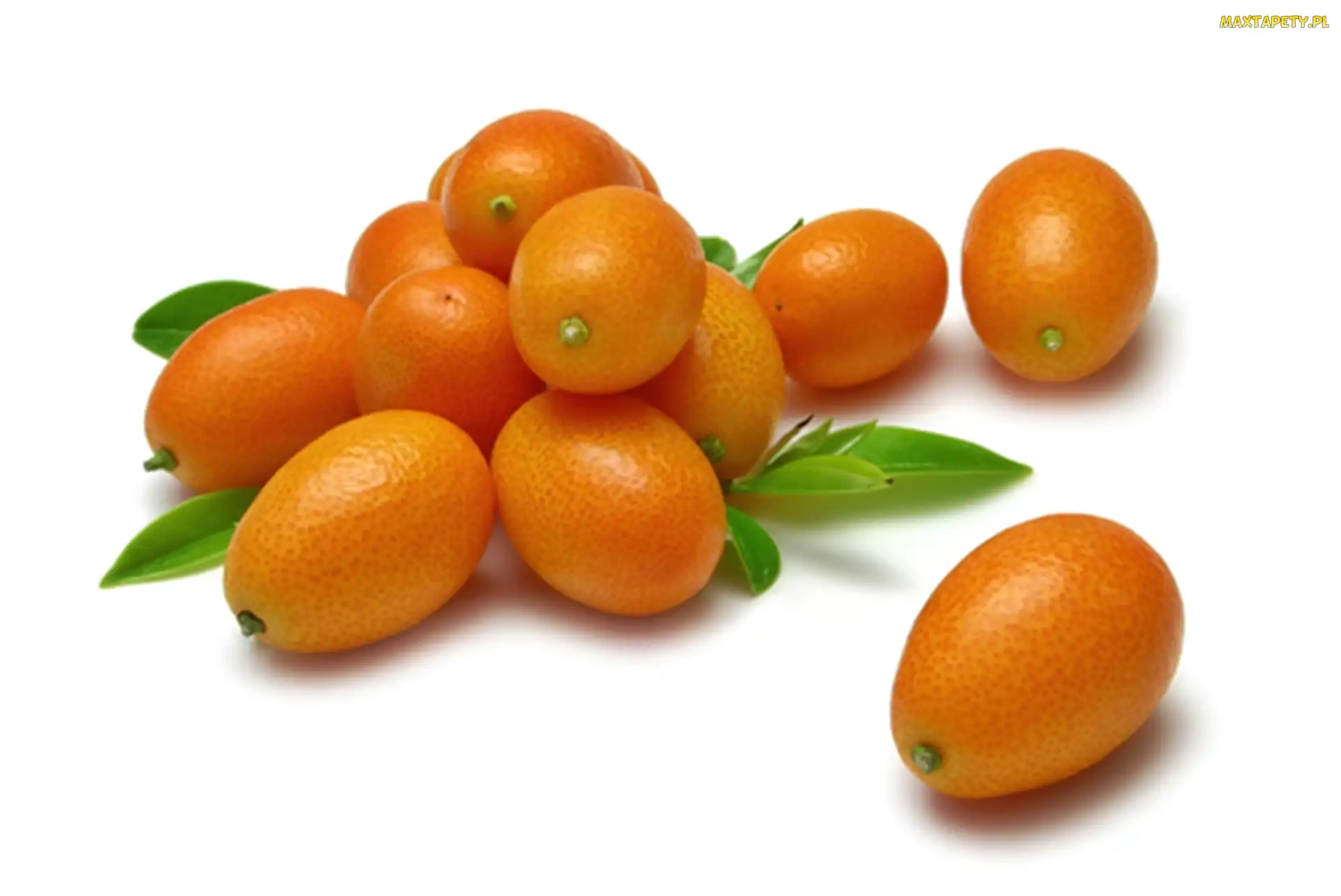 Kumkwat